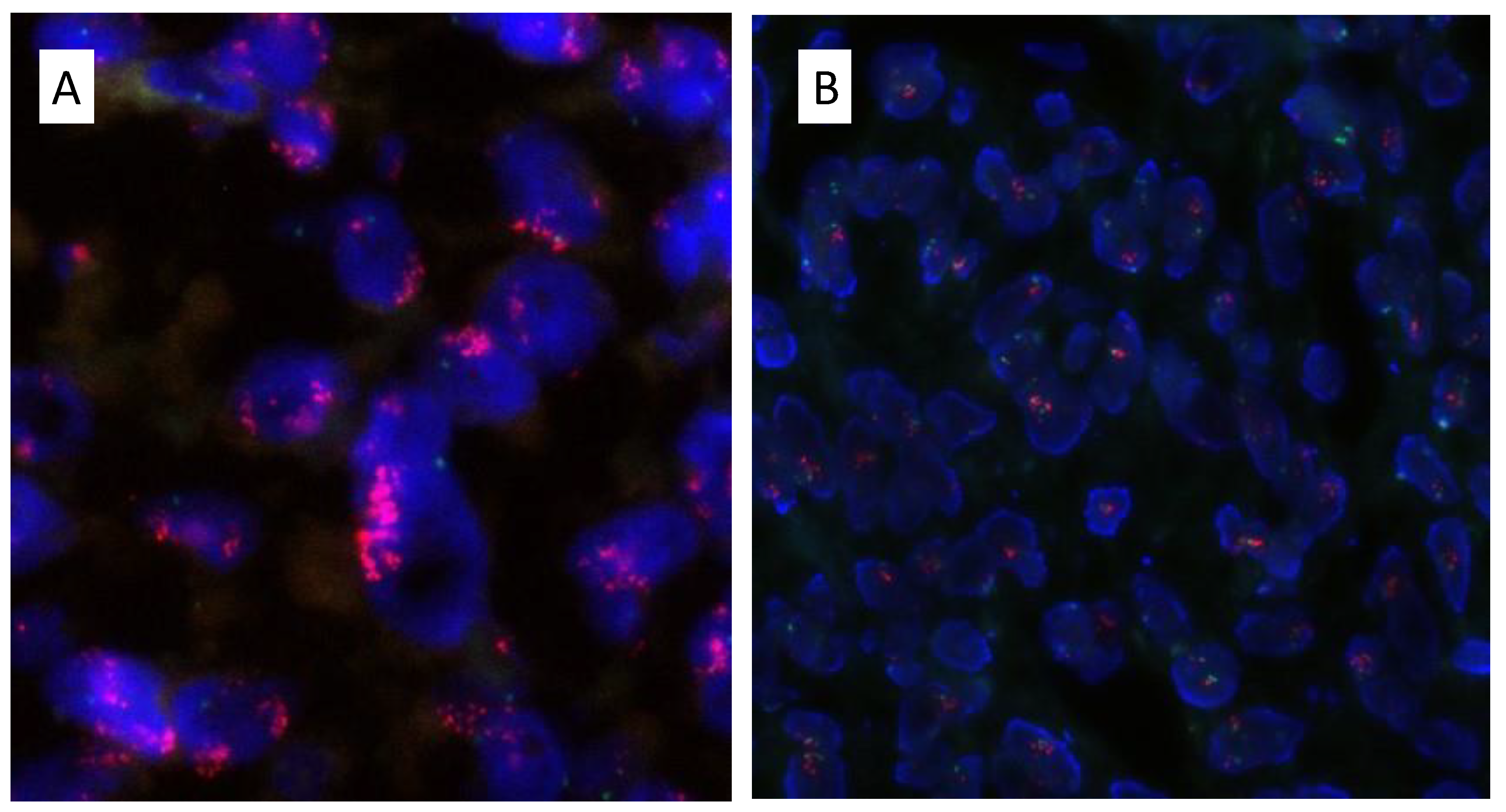 Ijms 24 07535 g004 Ijms 24 07535 g004