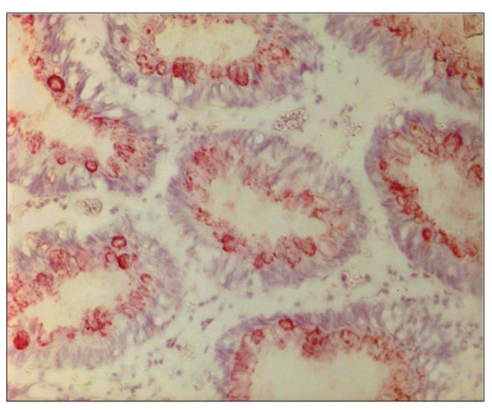 Ijms 24 07536 g008 Ijms 24 07536 g008