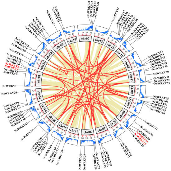Genome-Wide Identification and Expression Analysis of WRKY