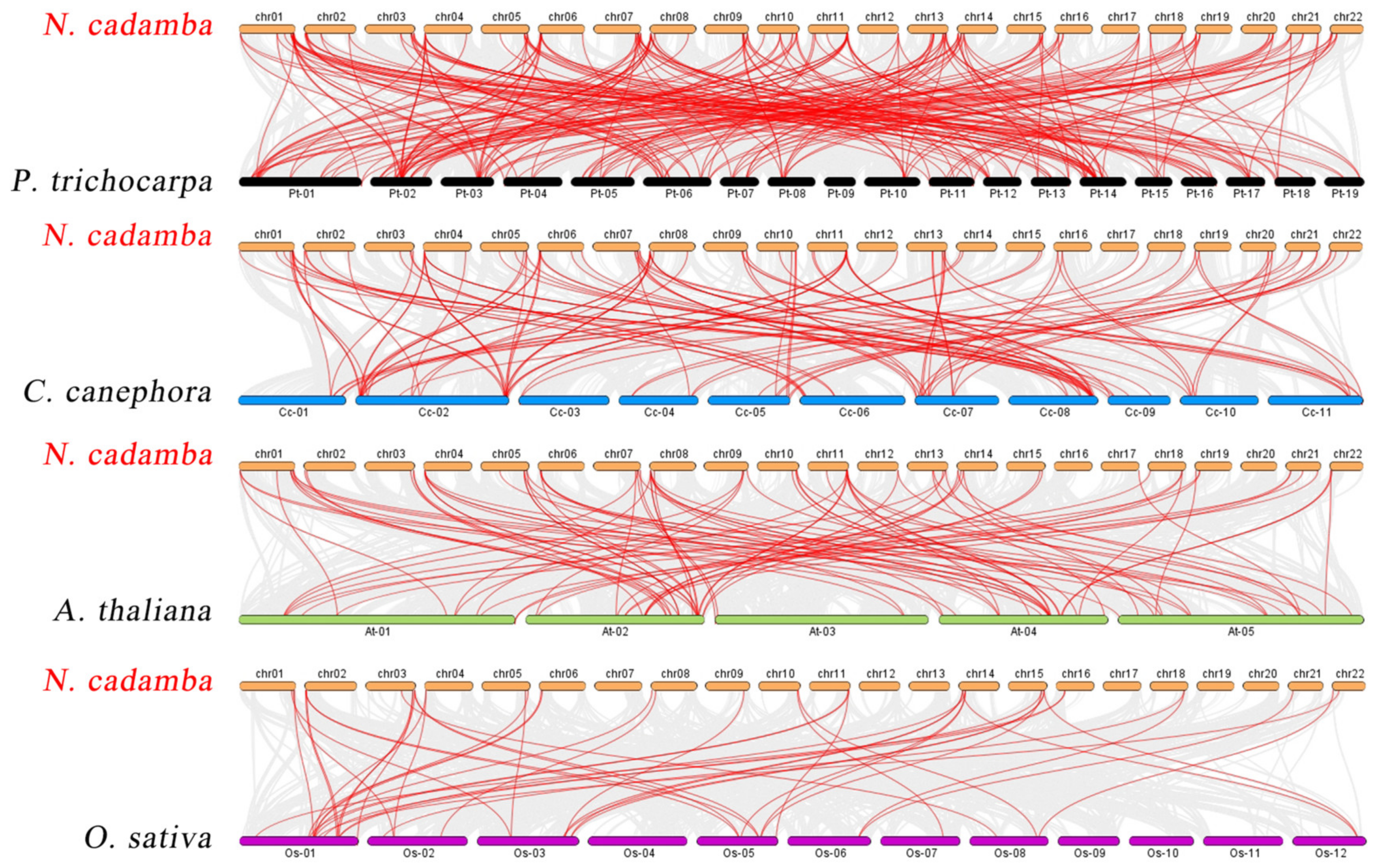 Ijms 24 07537 g004 Ijms 24 07537 g004