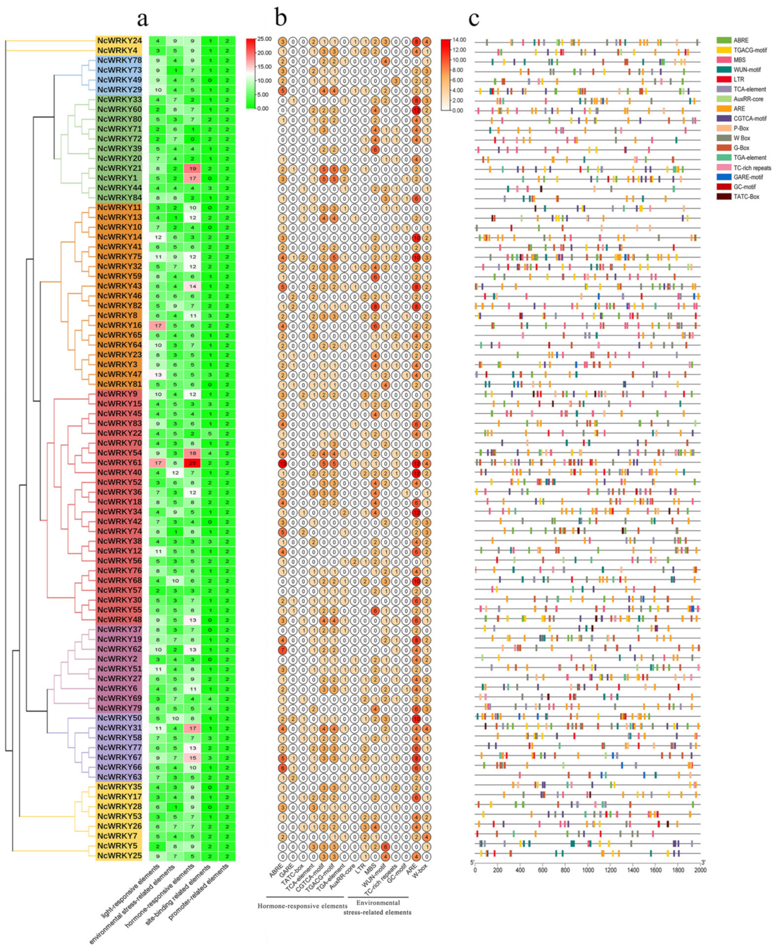 Ijms 24 07537 g005 Ijms 24 07537 g005