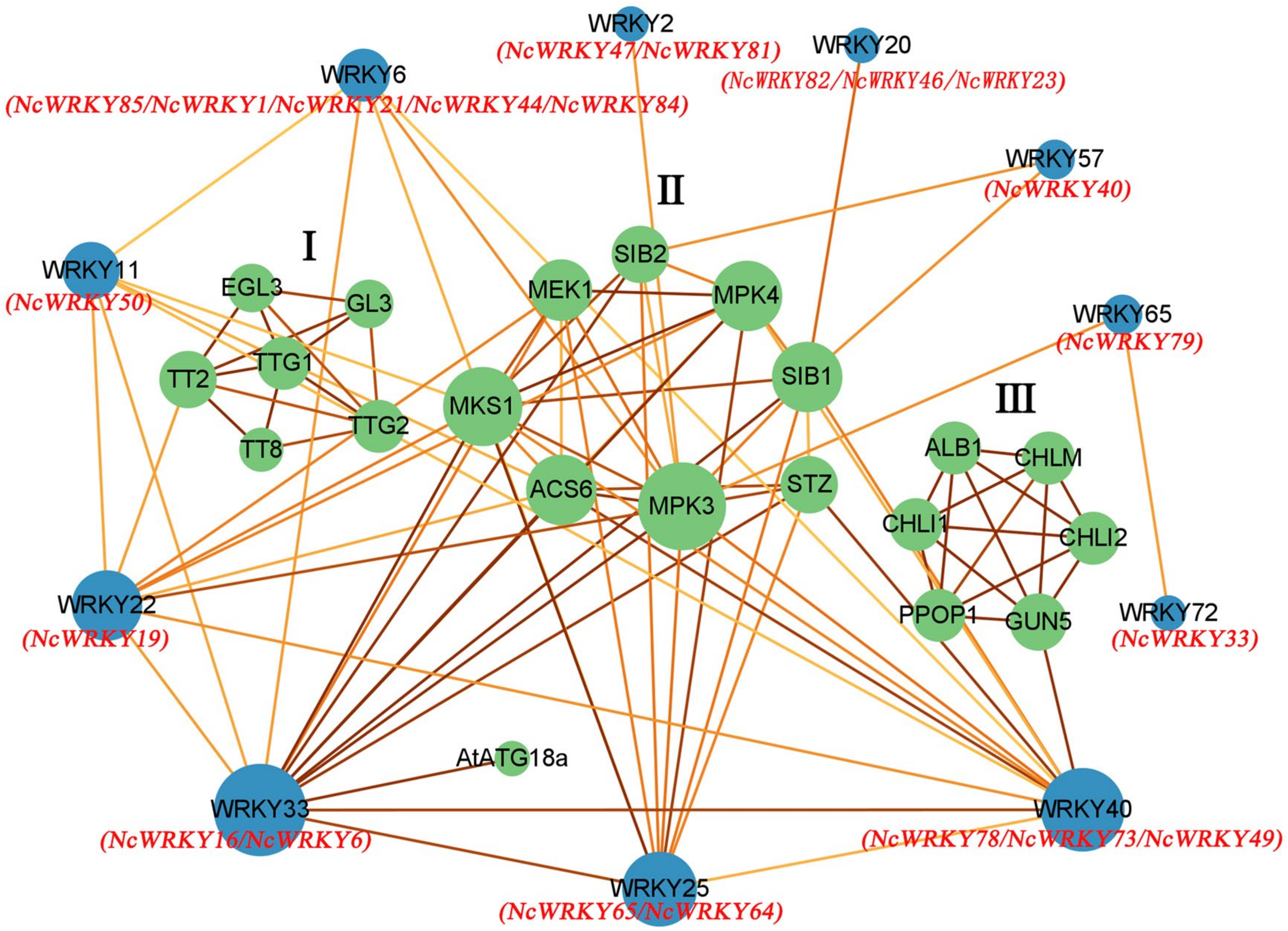 Ijms 24 07537 g006 Ijms 24 07537 g006