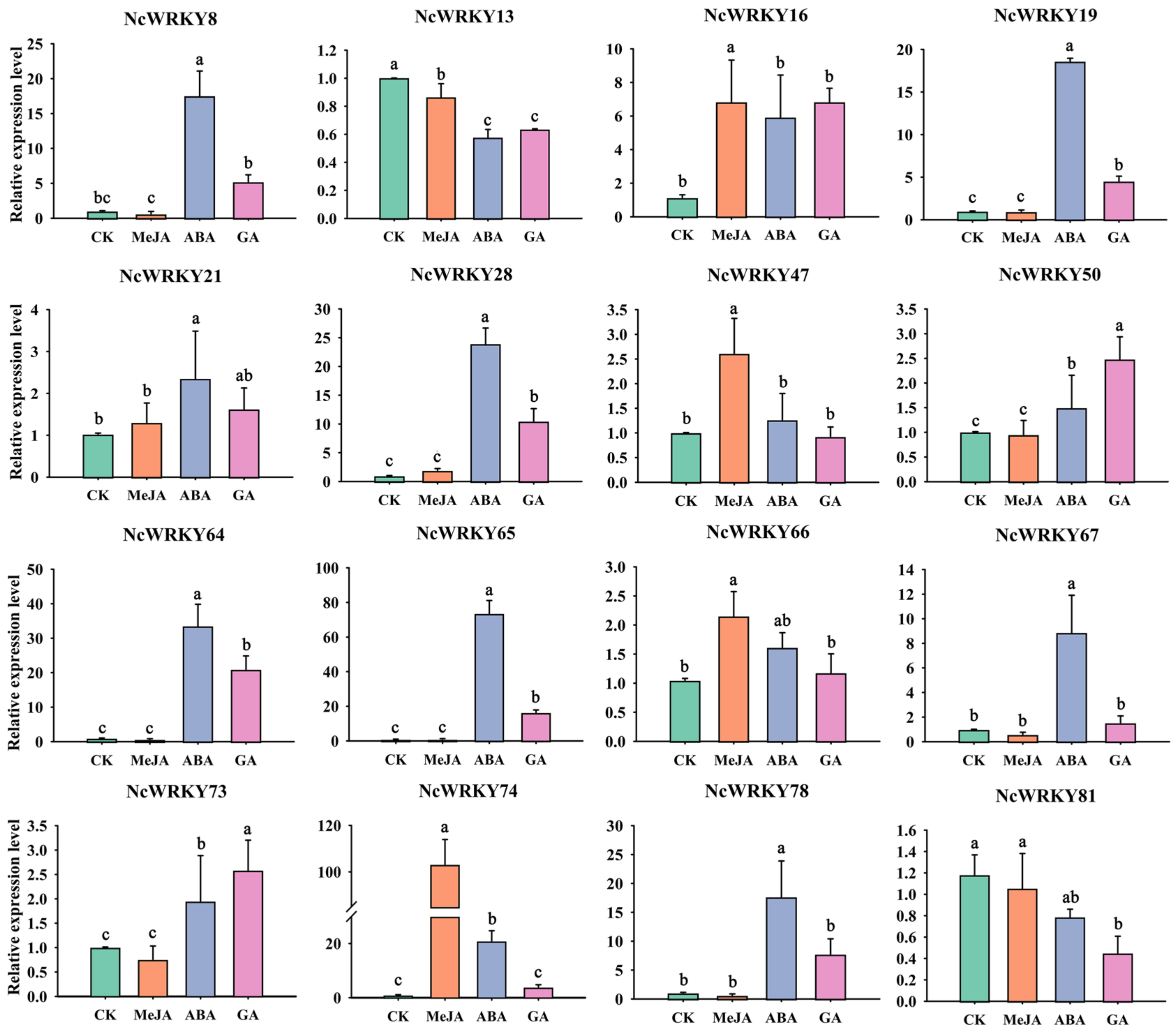 Ijms 24 07537 g008 Ijms 24 07537 g008