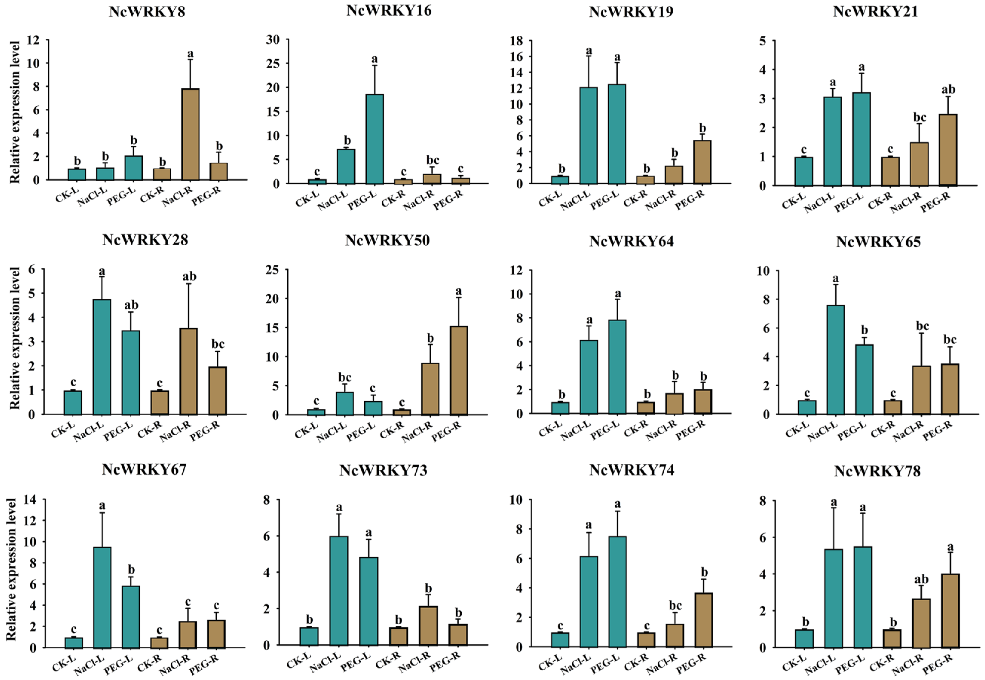 Ijms 24 07537 g009 Ijms 24 07537 g009