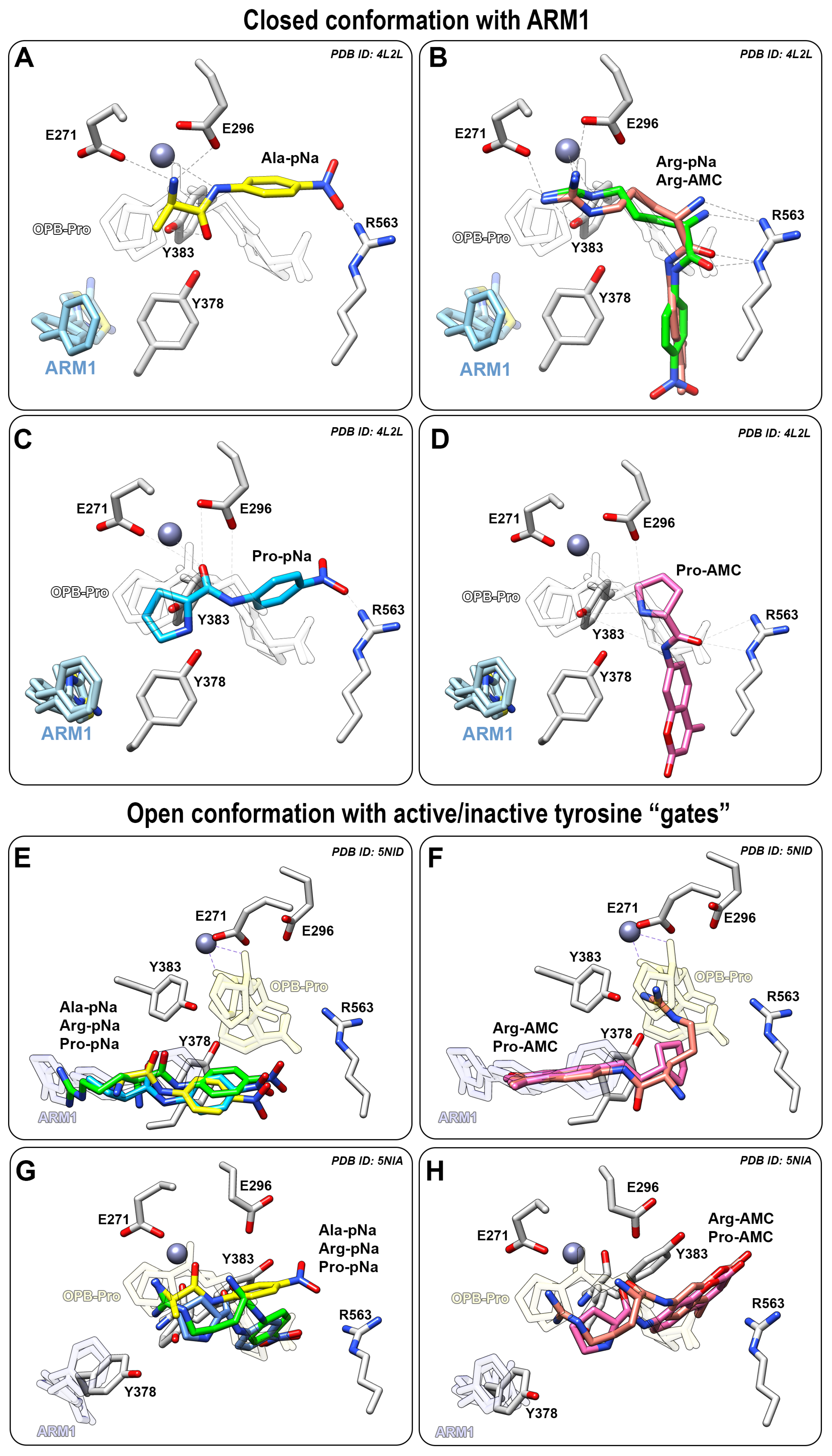 Ijms 24 07539 g005 Ijms 24 07539 g005