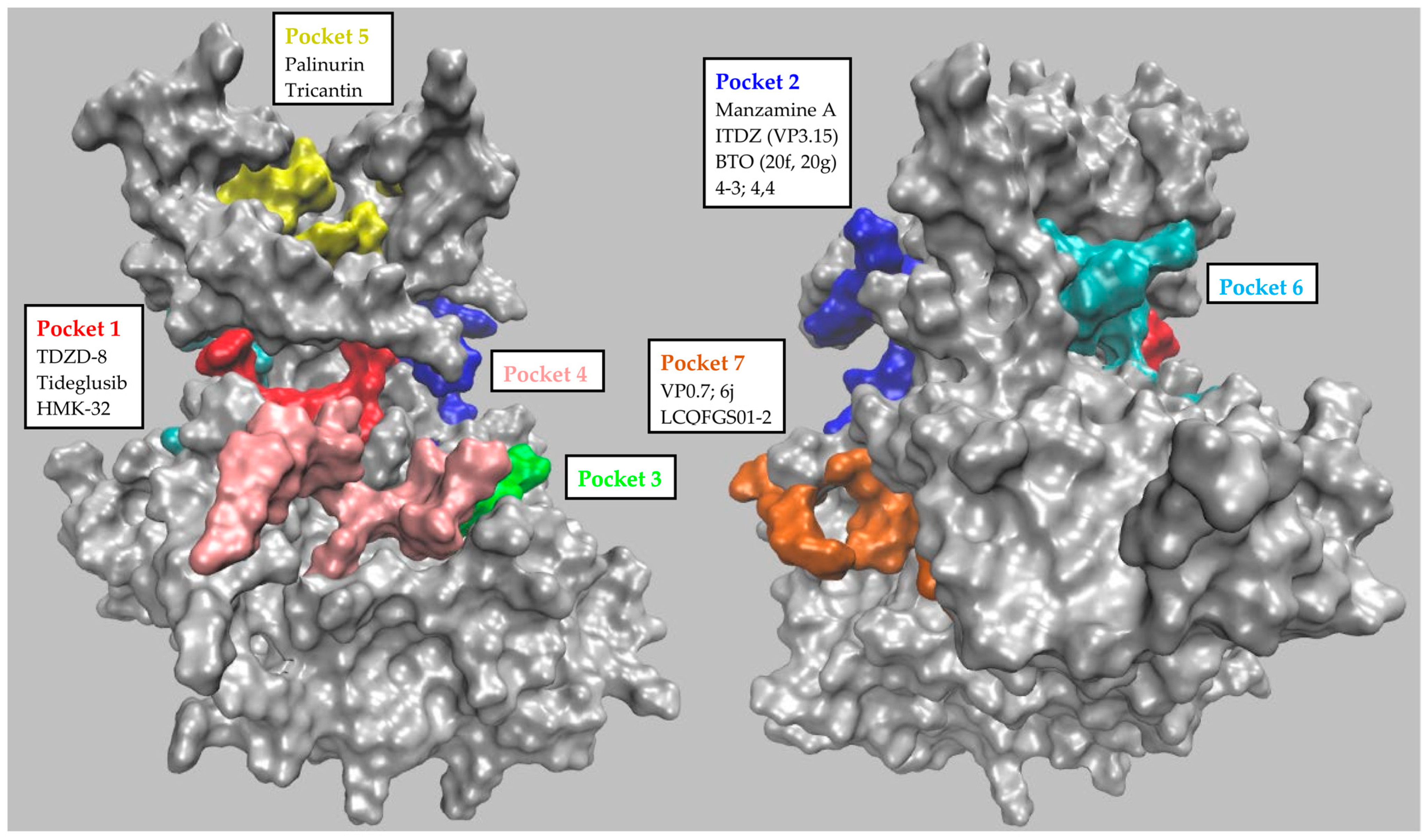 GSK-3β Allosteric Inhibition: A Dead End or a New 