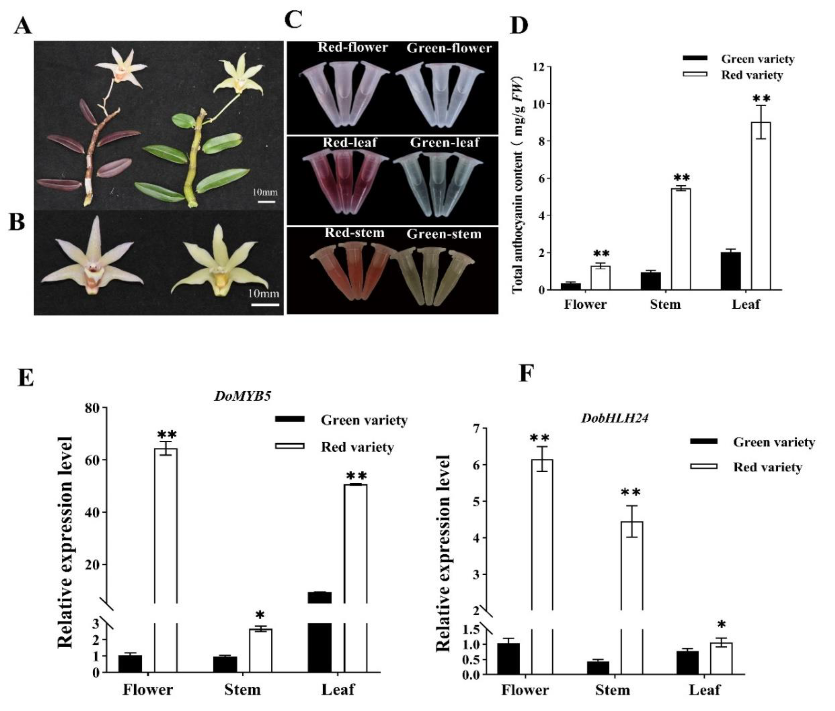 Ijms 24 07552 g001 Ijms 24 07552 g001