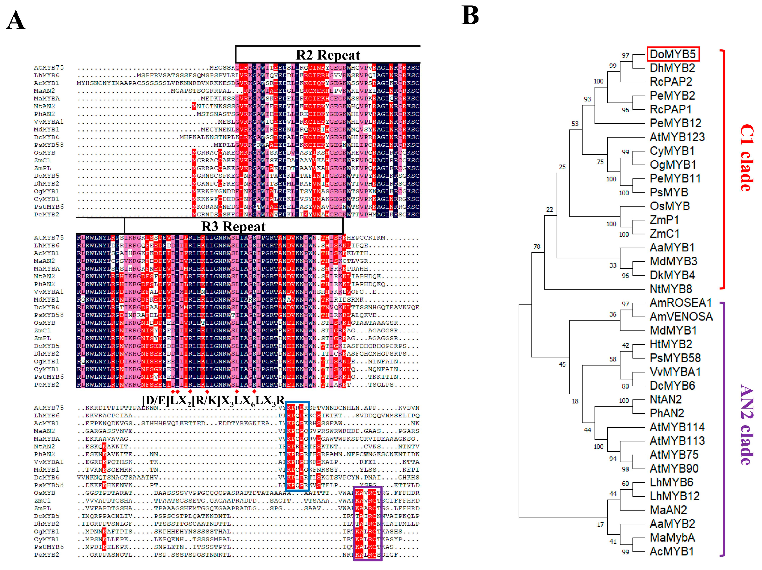Ijms 24 07552 g002a Ijms 24 07552 g002a