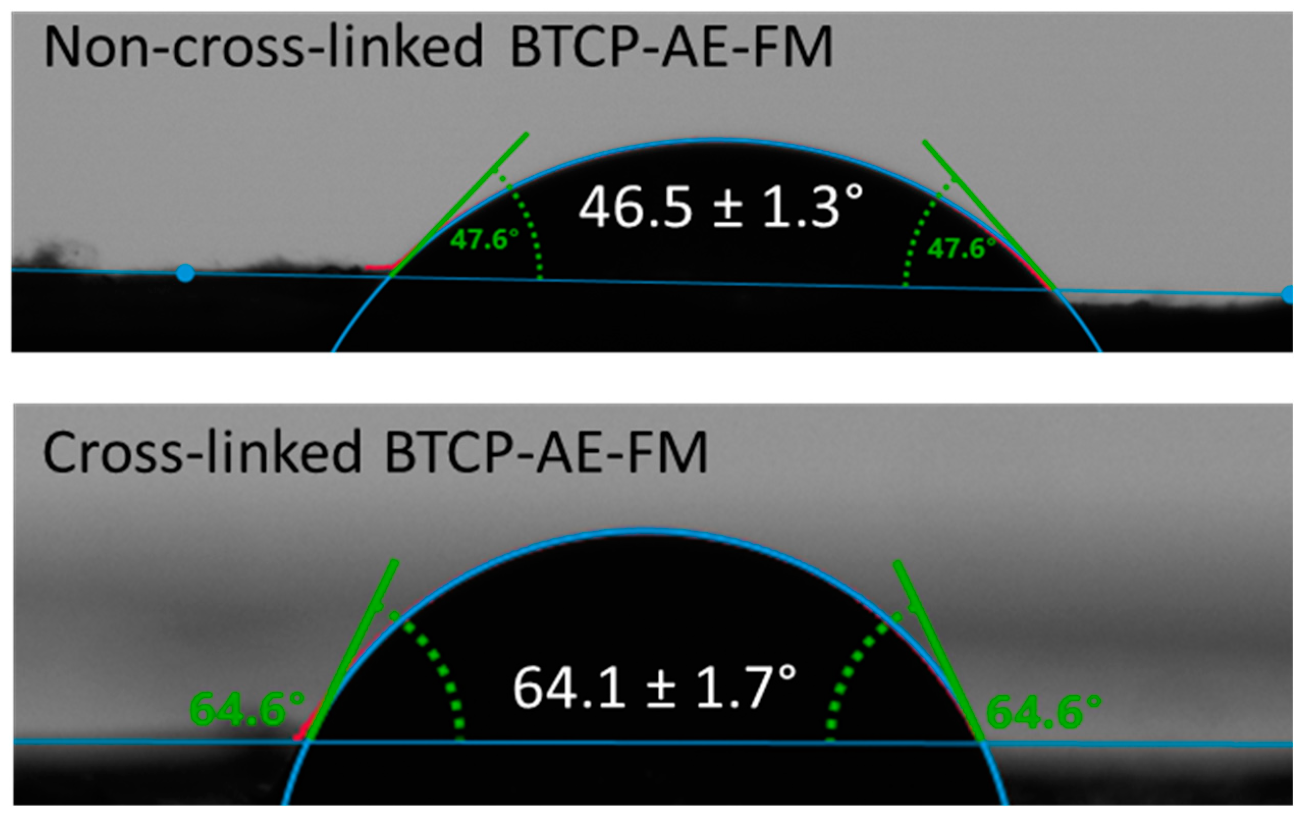 Ijms 24 07562 g004 Ijms 24 07562 g004