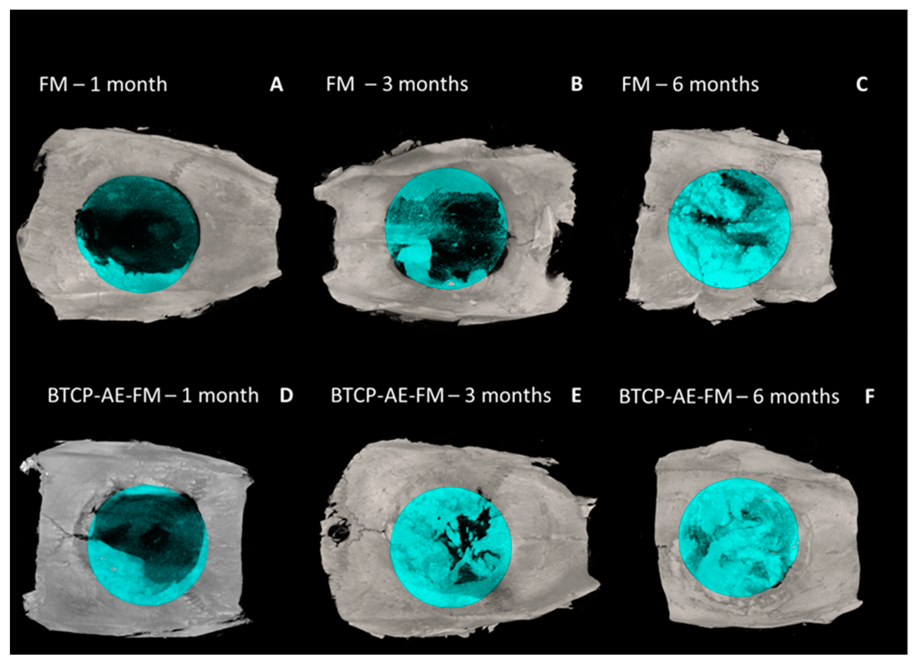 Ijms 24 07562 g011 Ijms 24 07562 g011