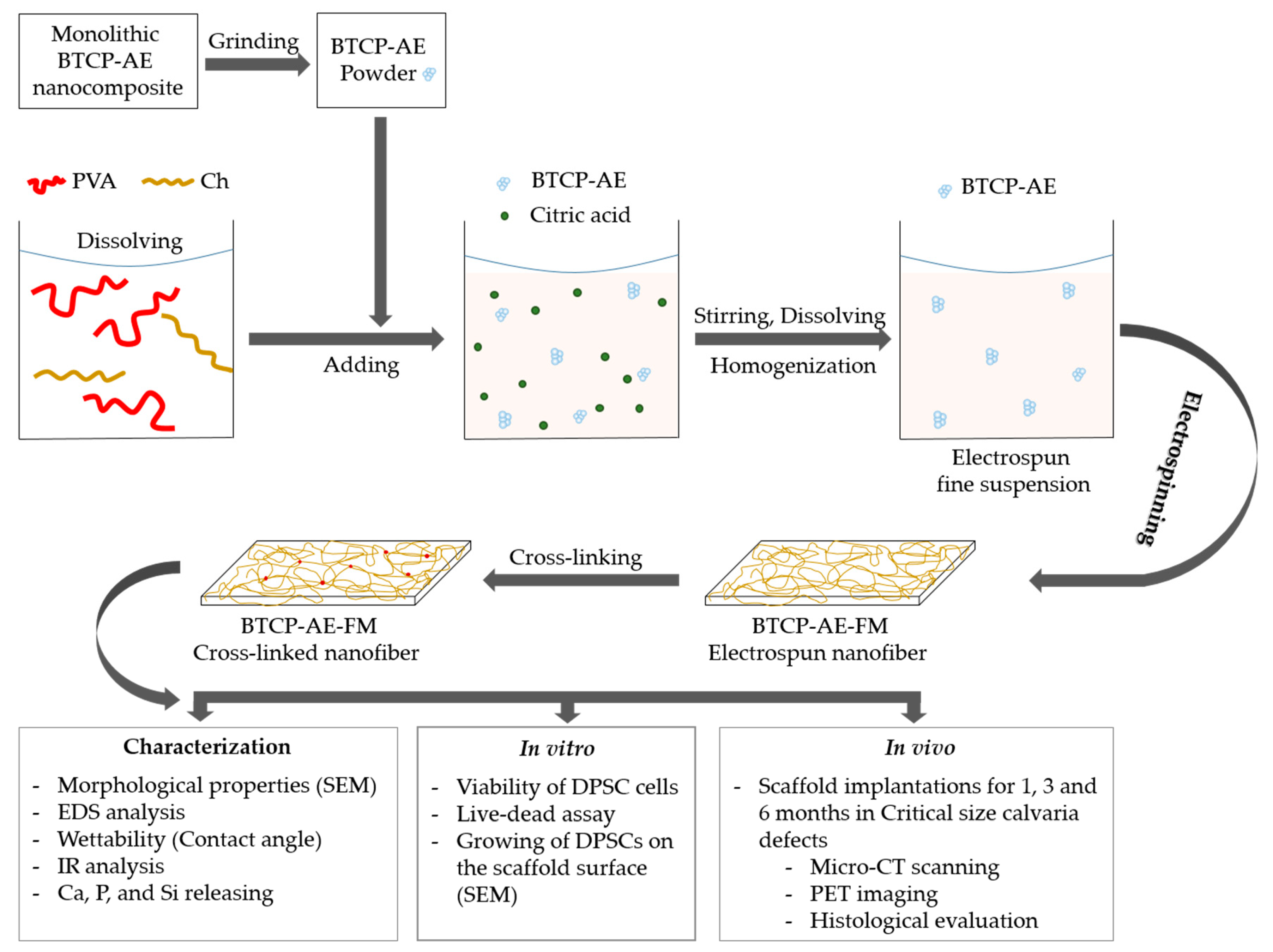 Ijms 24 07562 g015 Ijms 24 07562 g015