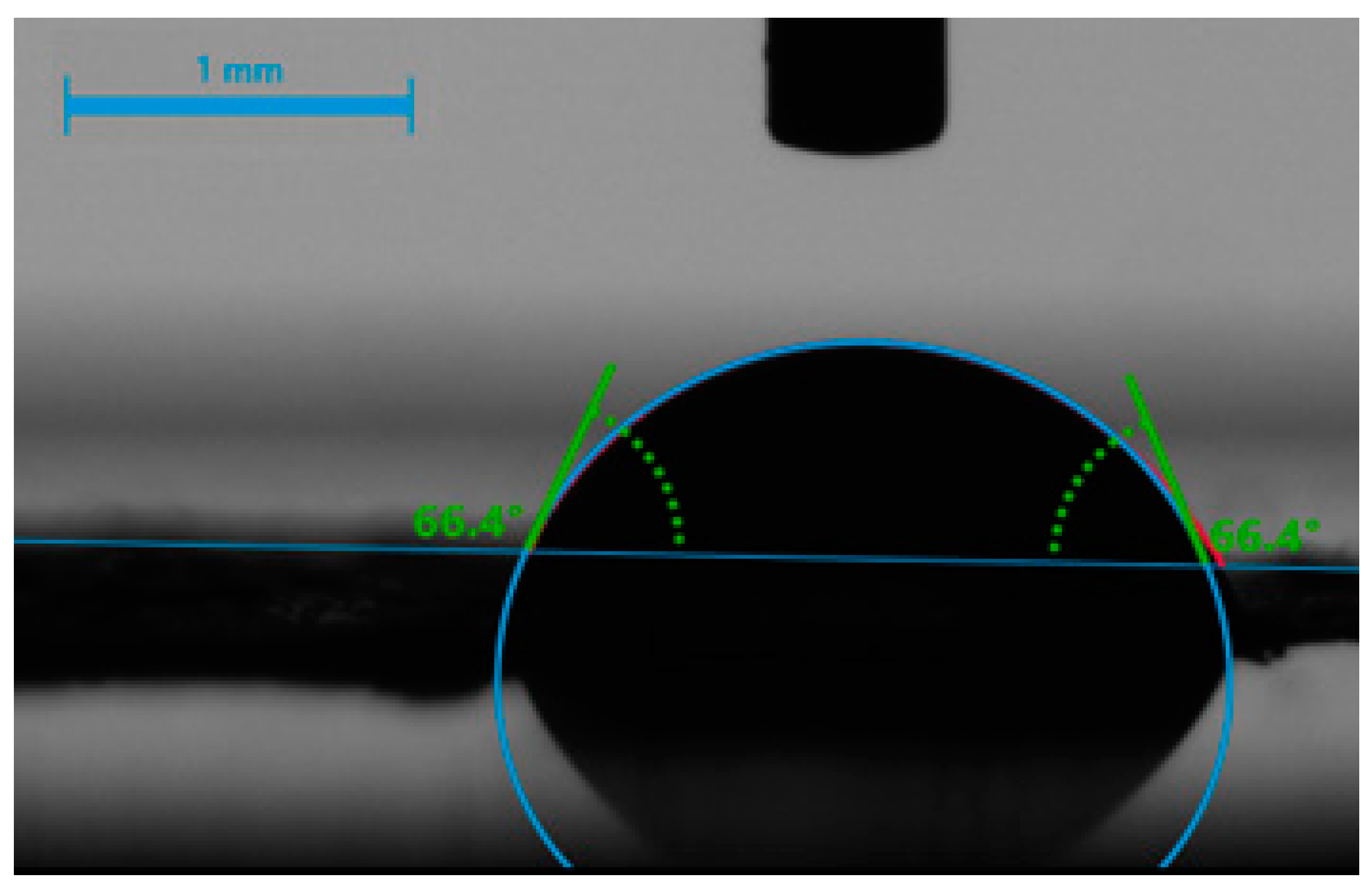 Ijms 24 07562 g016 Ijms 24 07562 g016