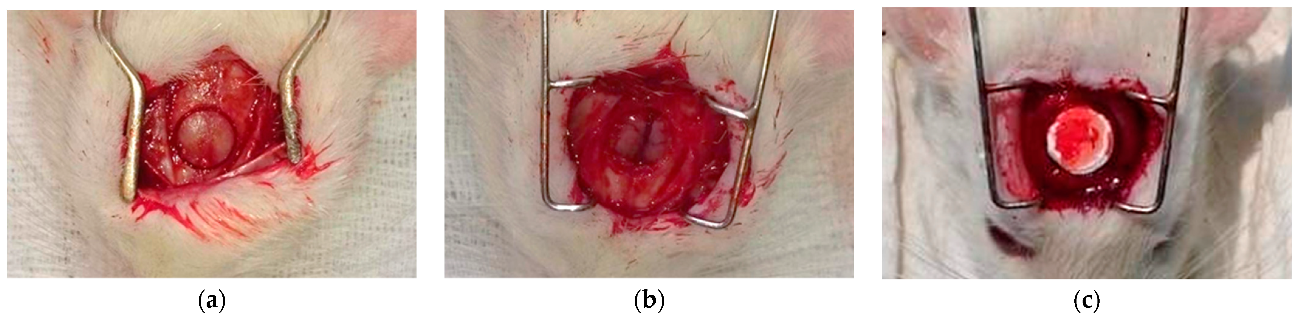 Ijms 24 07562 g017 Ijms 24 07562 g017