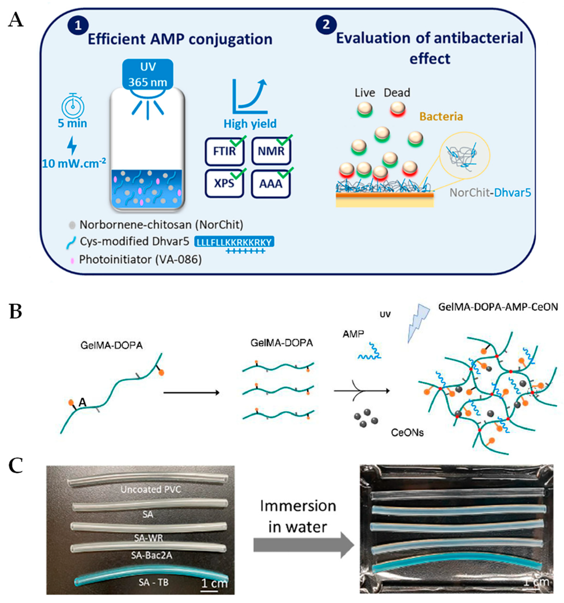 Synthetic peptides that form nanostructured micelles have potent antibiotic  and antibiofilm activity against polymicrobial infections