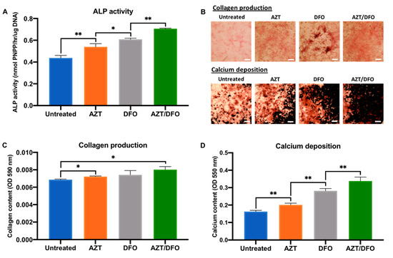 Epigenetic Reprogramming via Synergistic Hypomethylation and