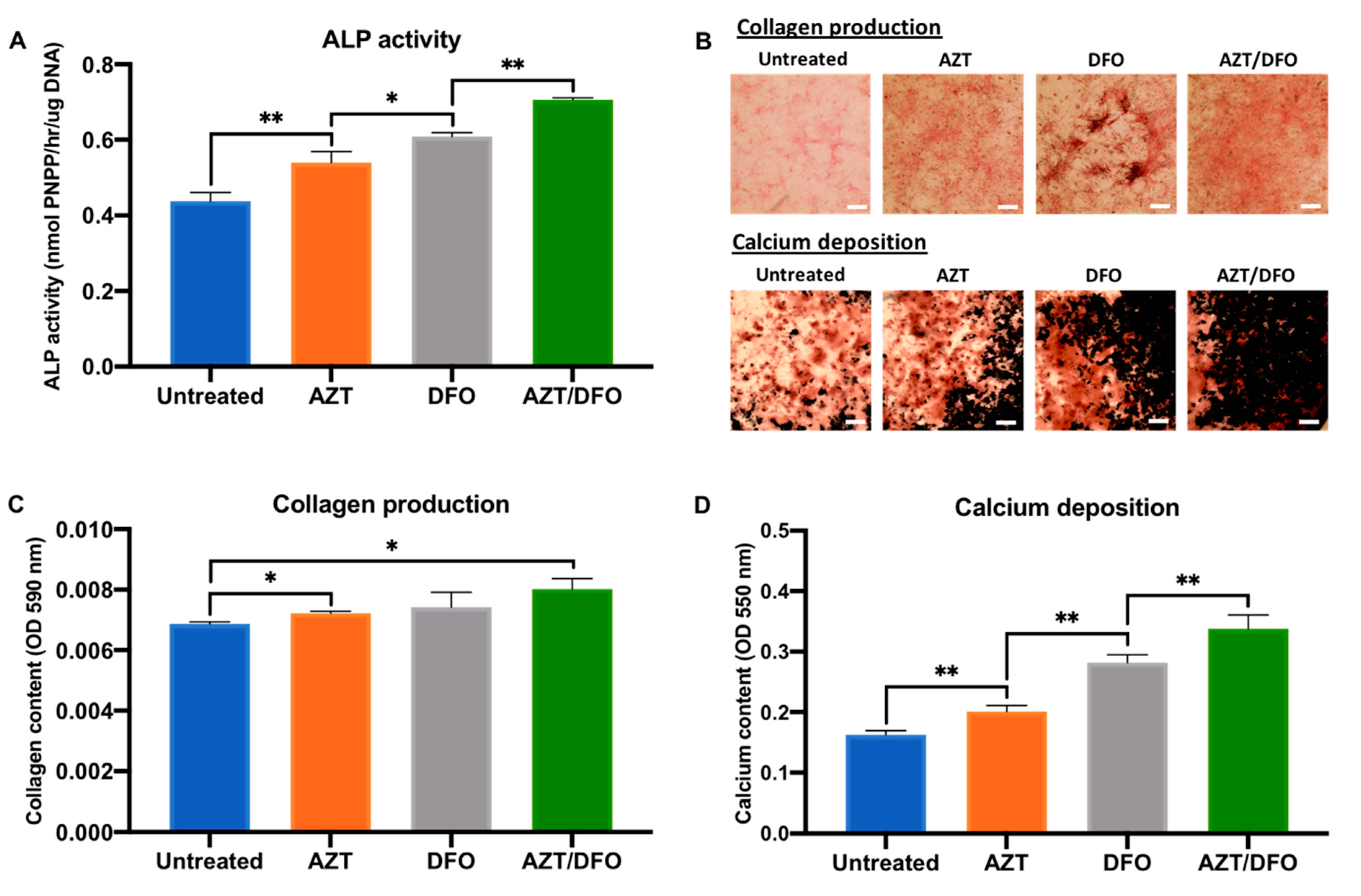 Ijms 24 07564 g004 Ijms 24 07564 g004