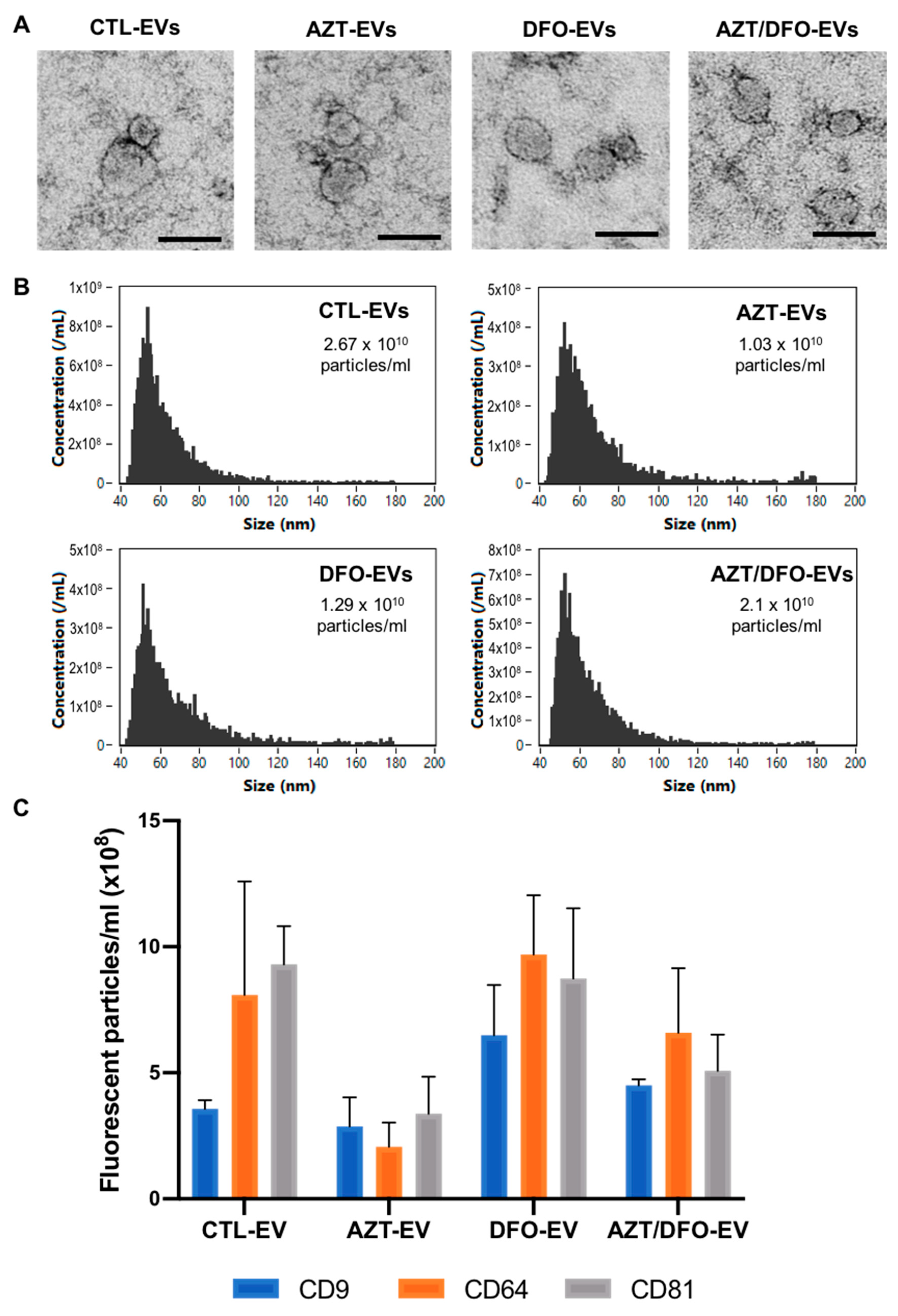 Ijms 24 07564 g005 Ijms 24 07564 g005
