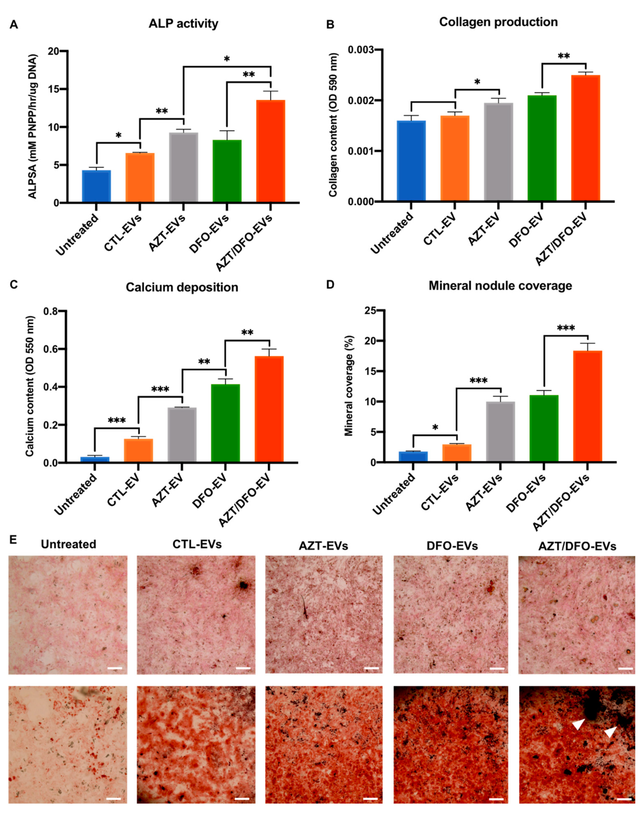 Ijms 24 07564 g007 Ijms 24 07564 g007