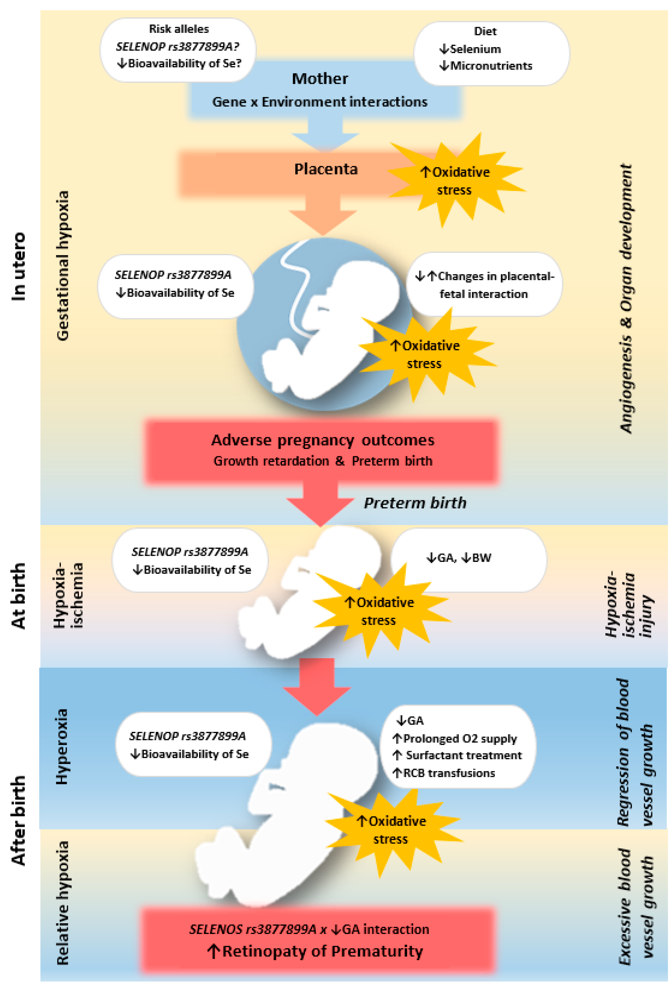 Ijms 24 07570 g004 Ijms 24 07570 g004