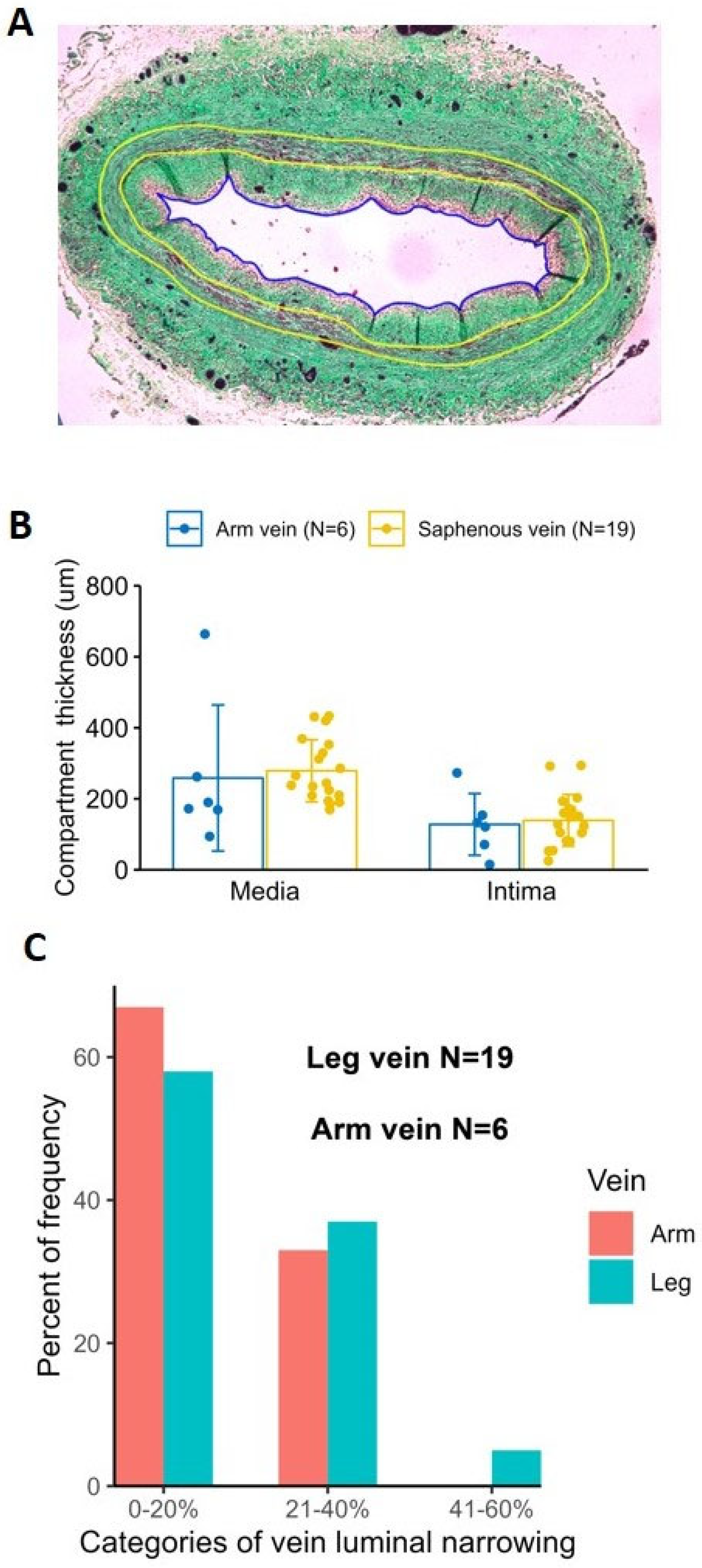 Ijms 24 07571 g008 Ijms 24 07571 g008
