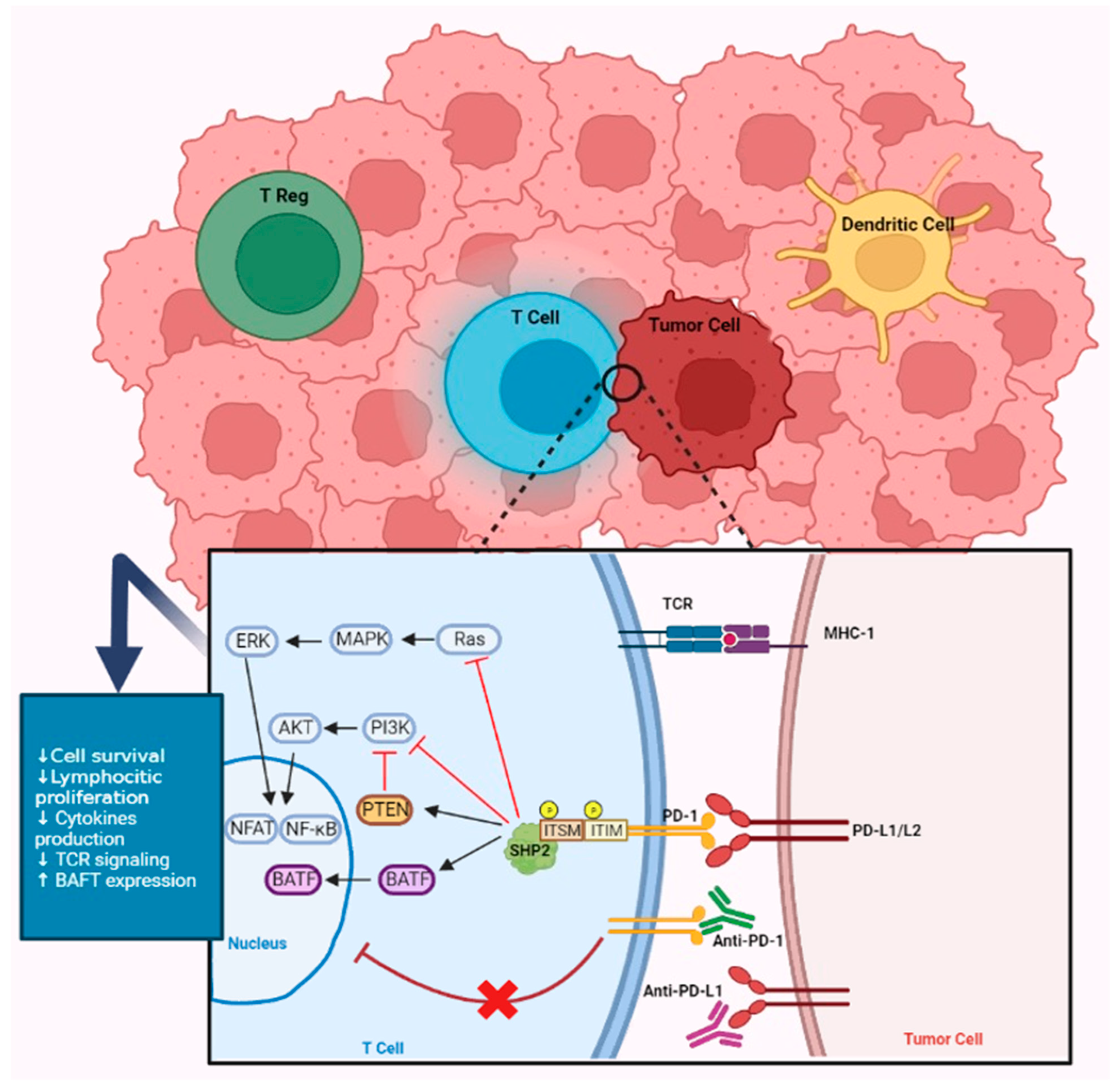 Prognostic and Predictive Biomarkers in the Era of Immunotherapy 