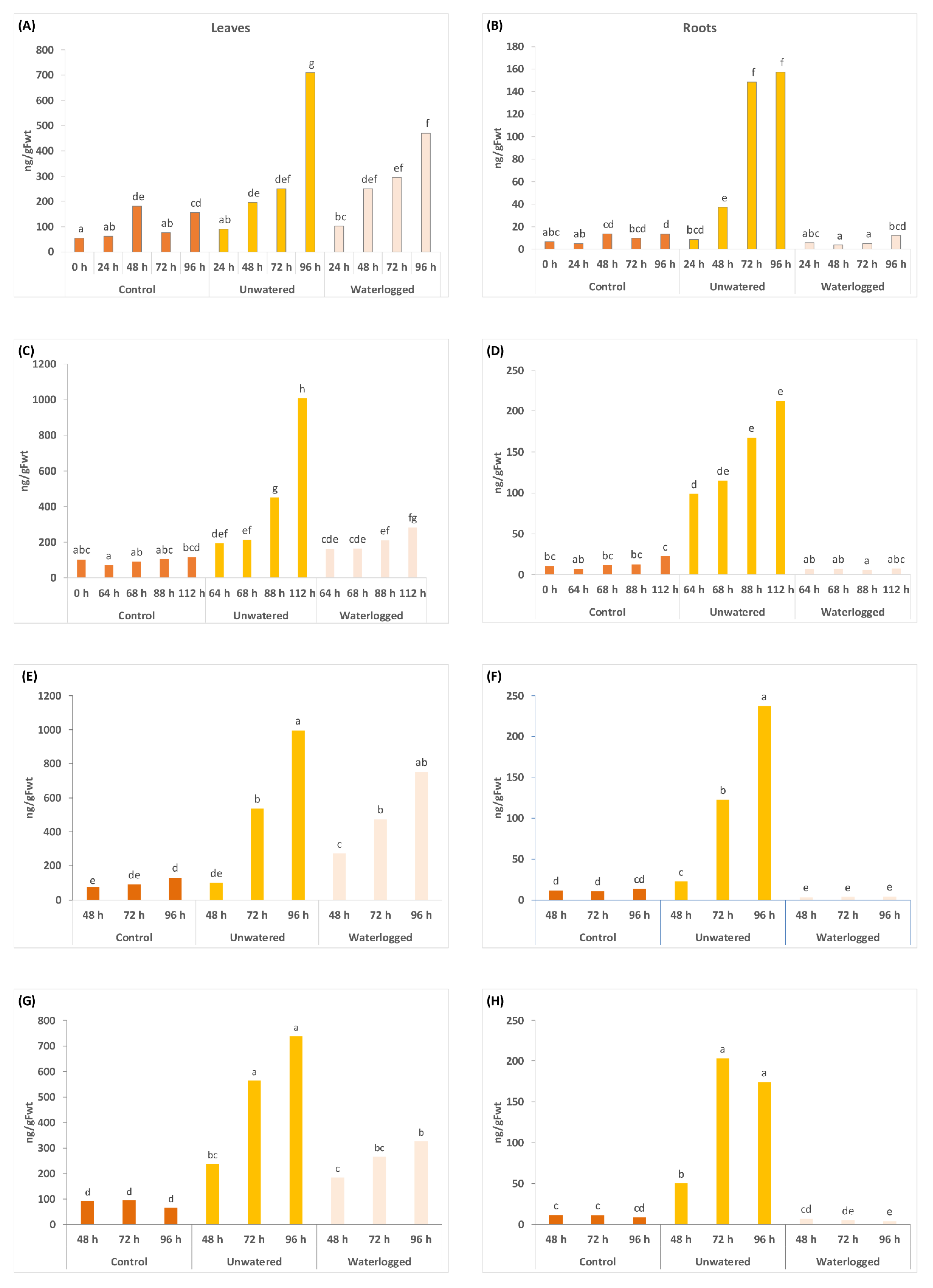 Ijms 24 07580 g001 Ijms 24 07580 g001