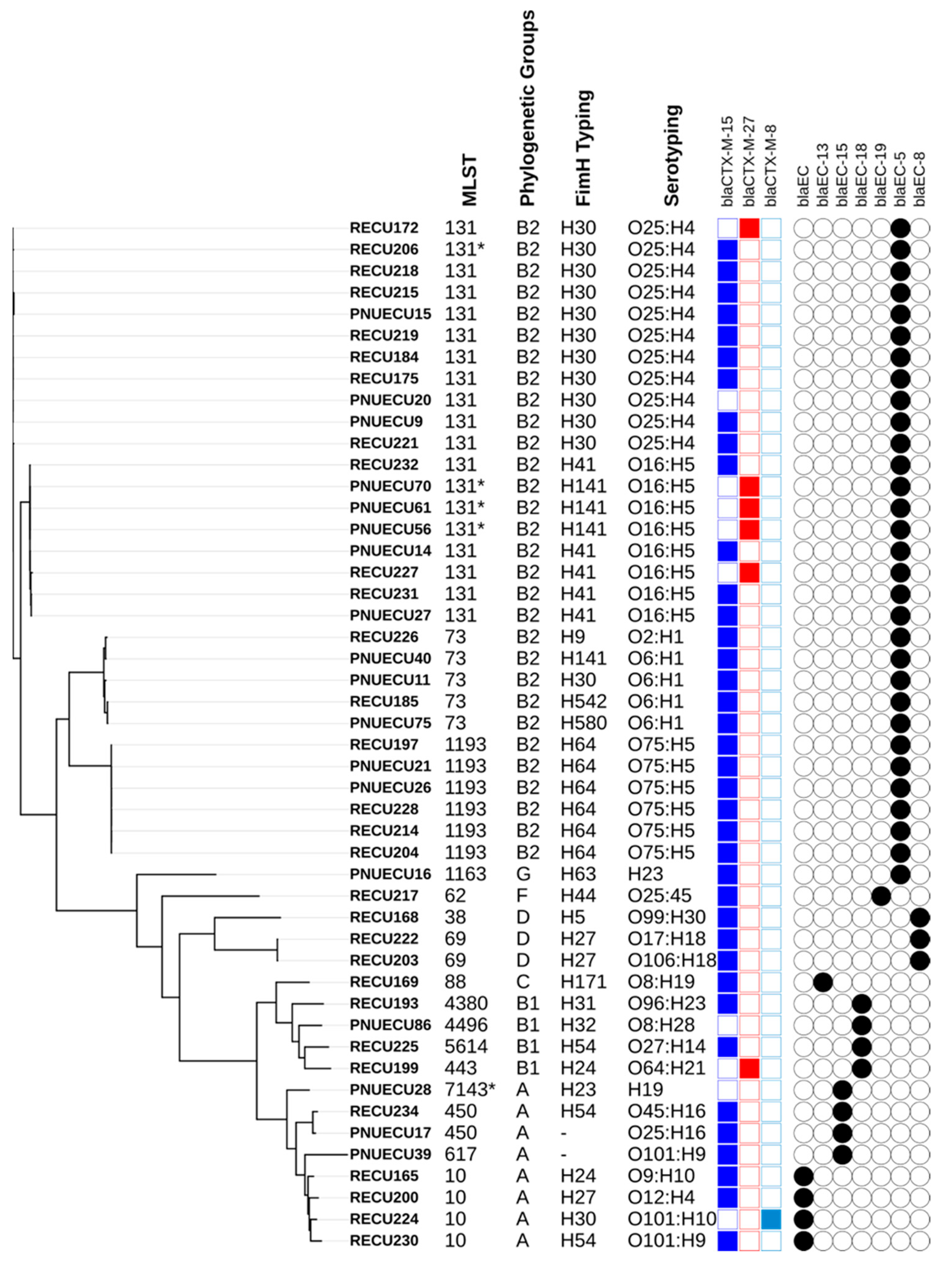 Ijms 24 07582 g001 Ijms 24 07582 g001