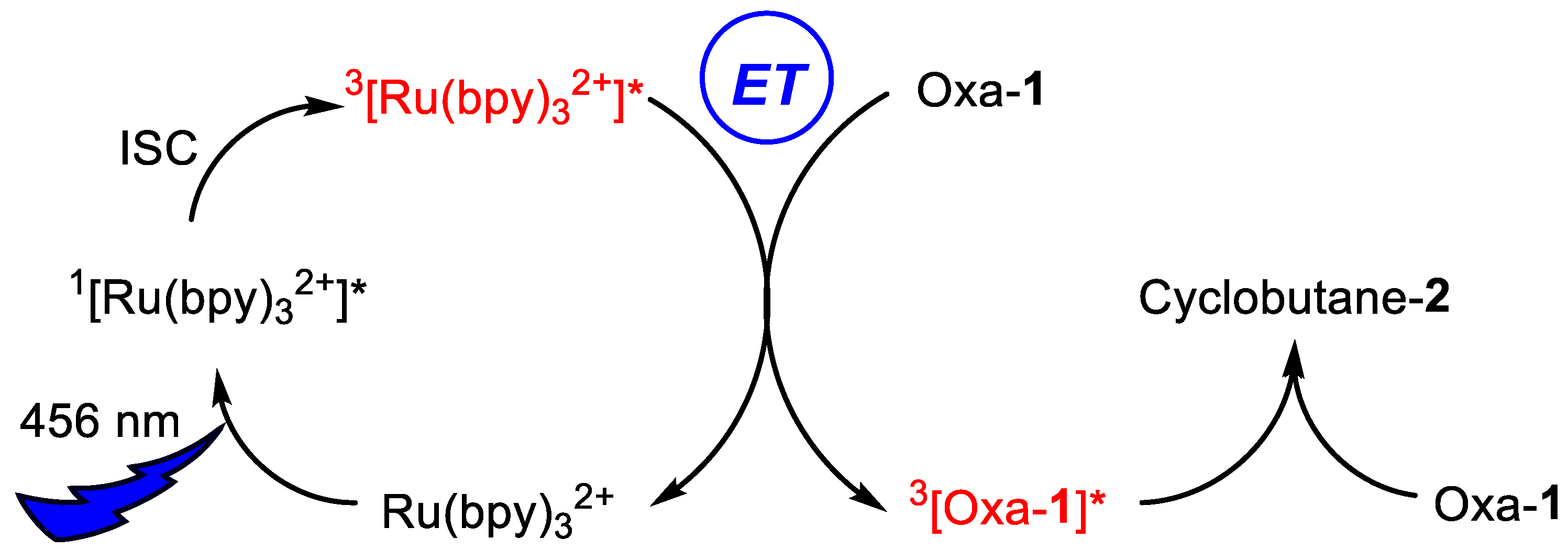 Ijms 24 07583 g010 Ijms 24 07583 g010