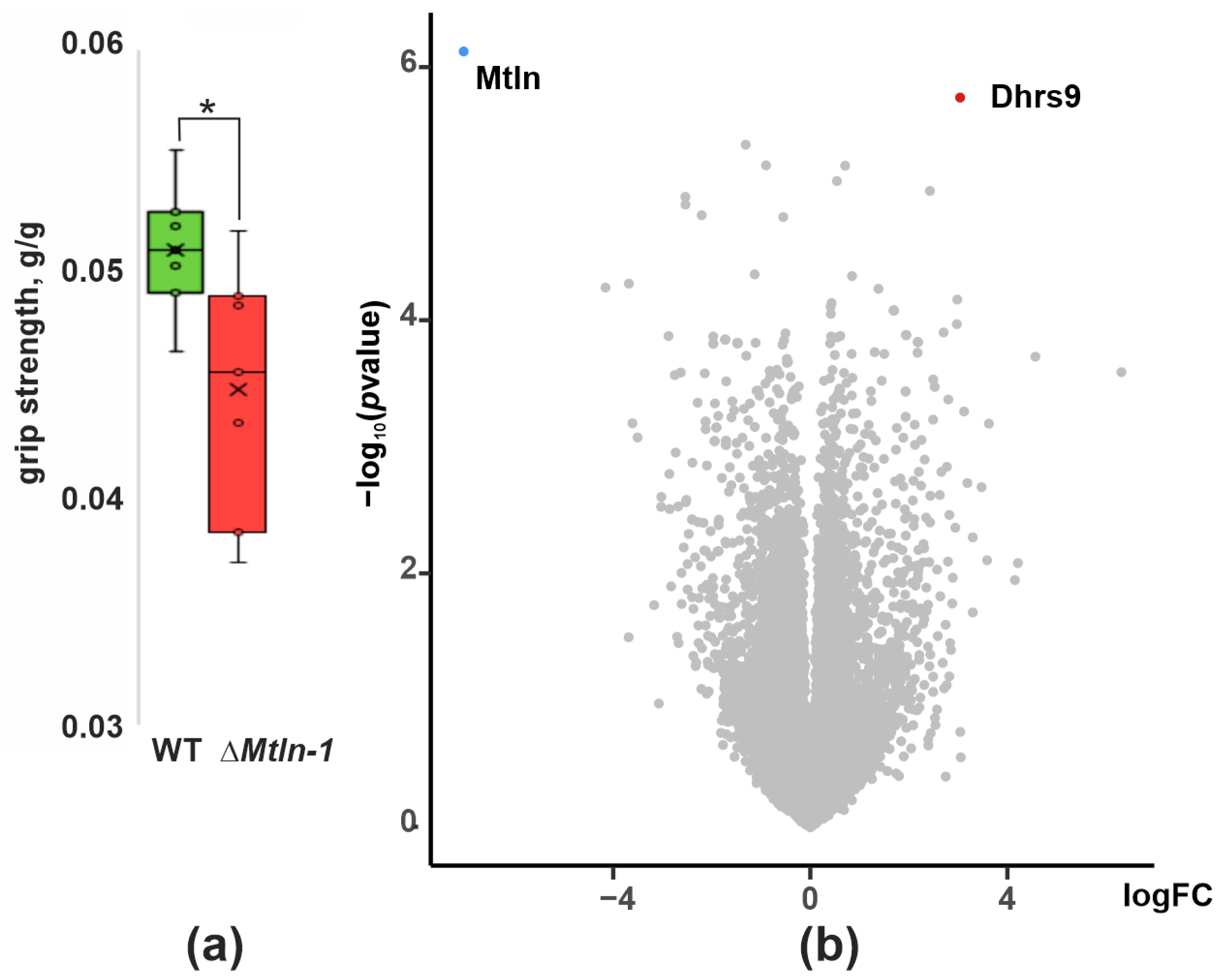 Ijms 24 07589 g001 Ijms 24 07589 g001