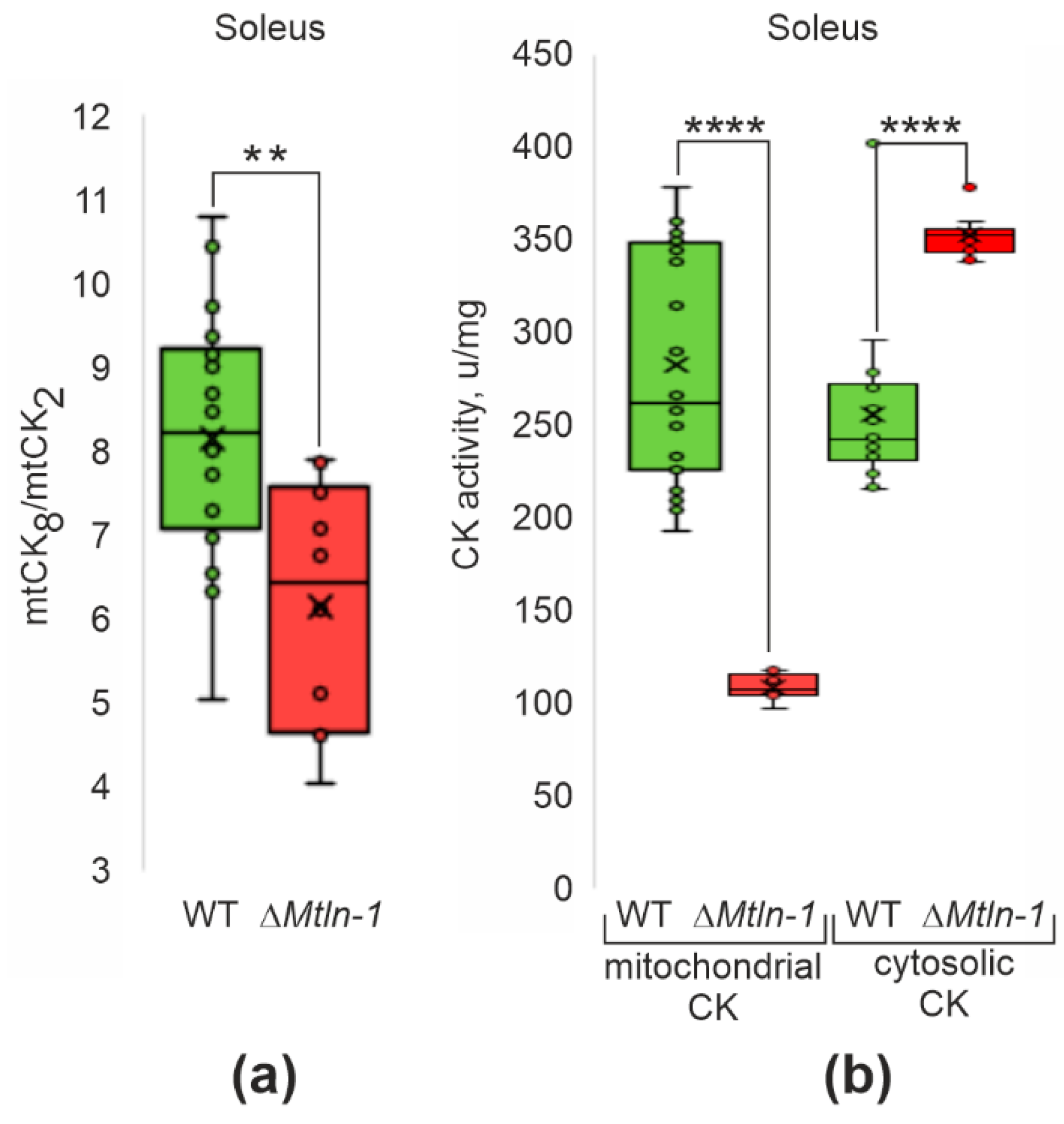 Ijms 24 07589 g003 Ijms 24 07589 g003