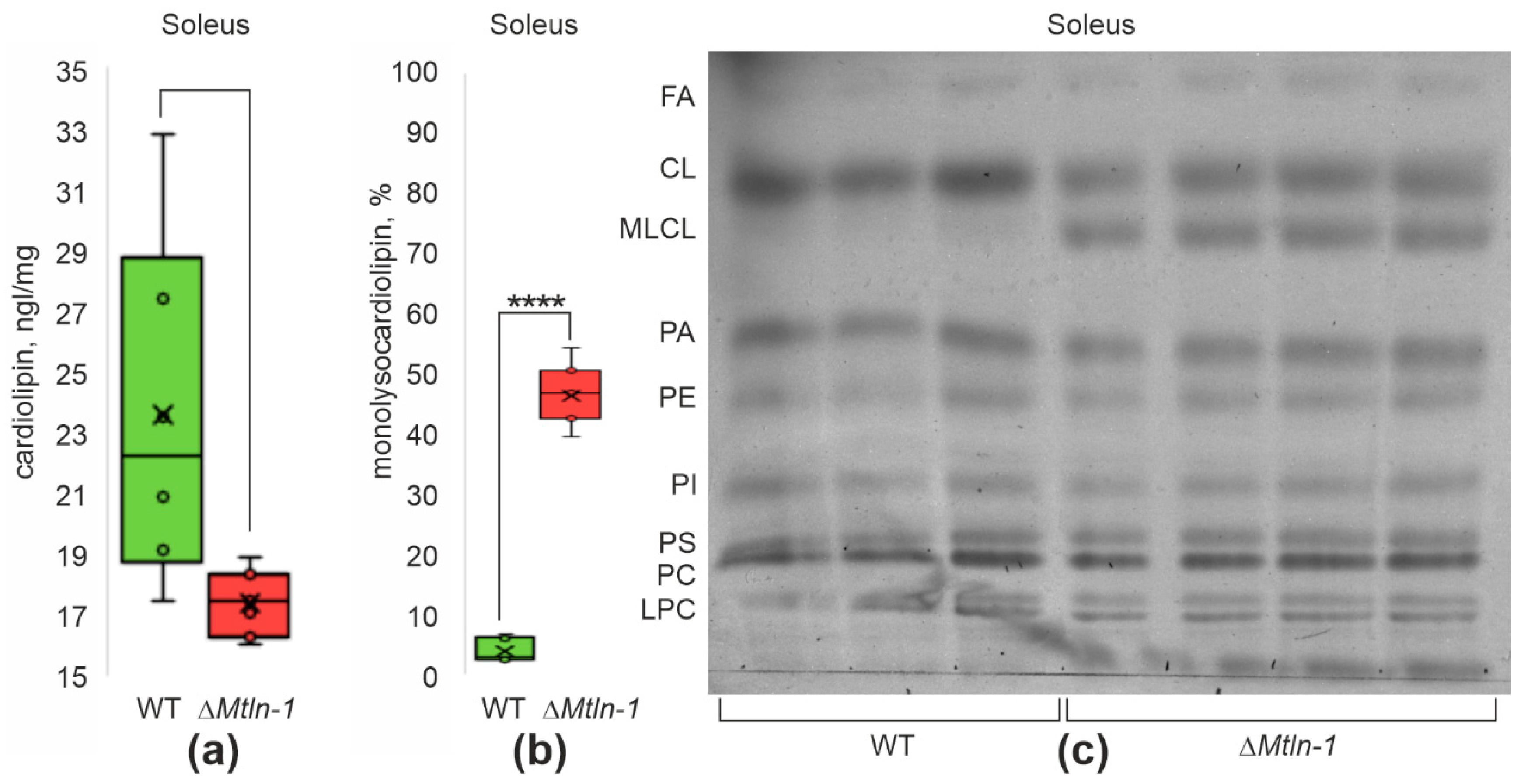 Ijms 24 07589 g004 Ijms 24 07589 g004