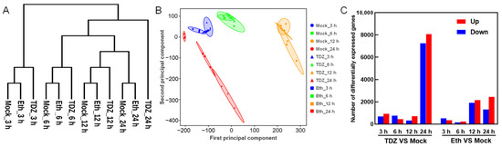 Comparative Physiological and Transcriptomic Mechanisms of Defoliation ...