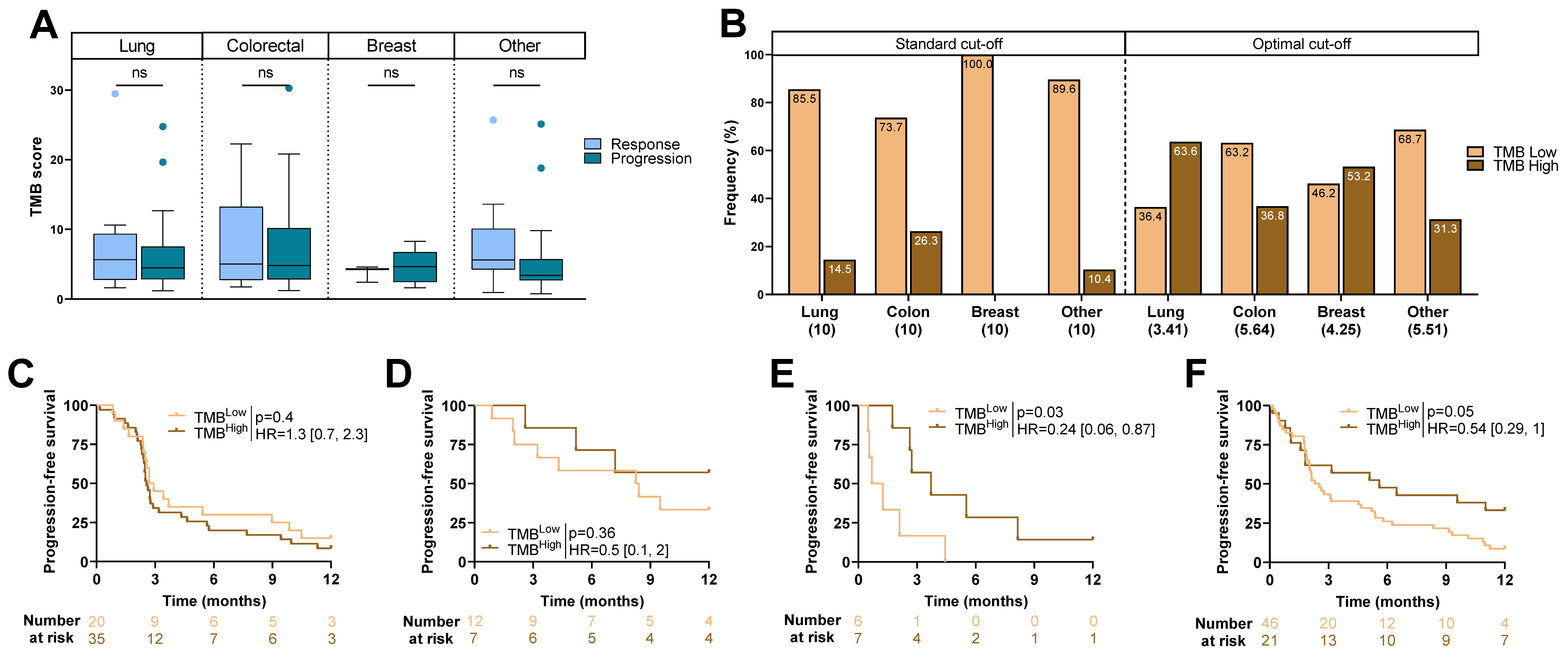 Ijms 24 07592 g002 Ijms 24 07592 g002