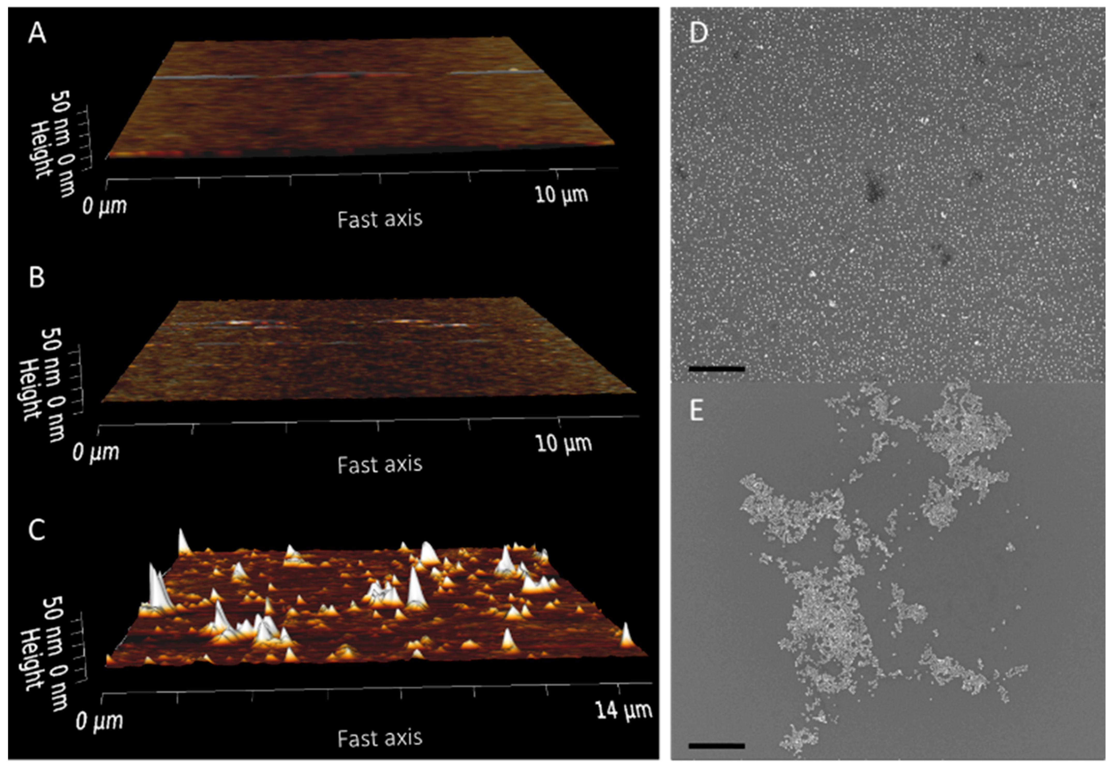 Ijms 24 07599 g001 Ijms 24 07599 g001