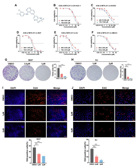 ミルク Mao MTX-211 Inhibits GSH Synthesis through Keap1/NRF2/GCLM Axis and
