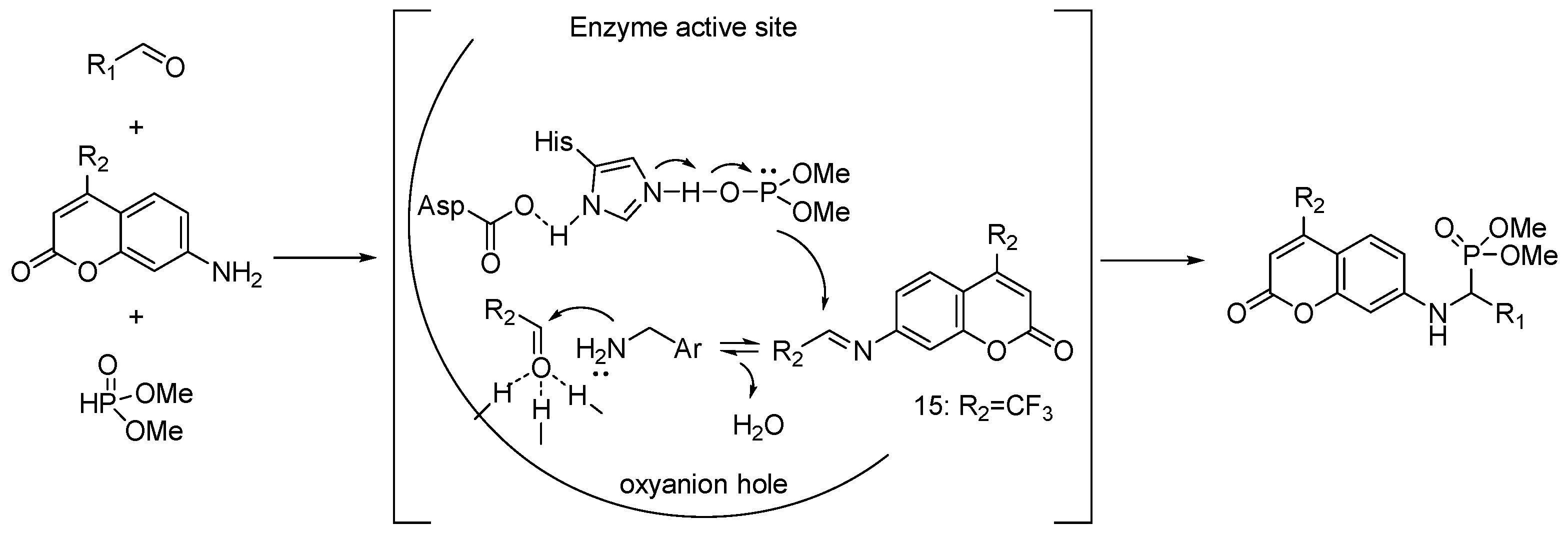 Ijms 24 07609 sch002