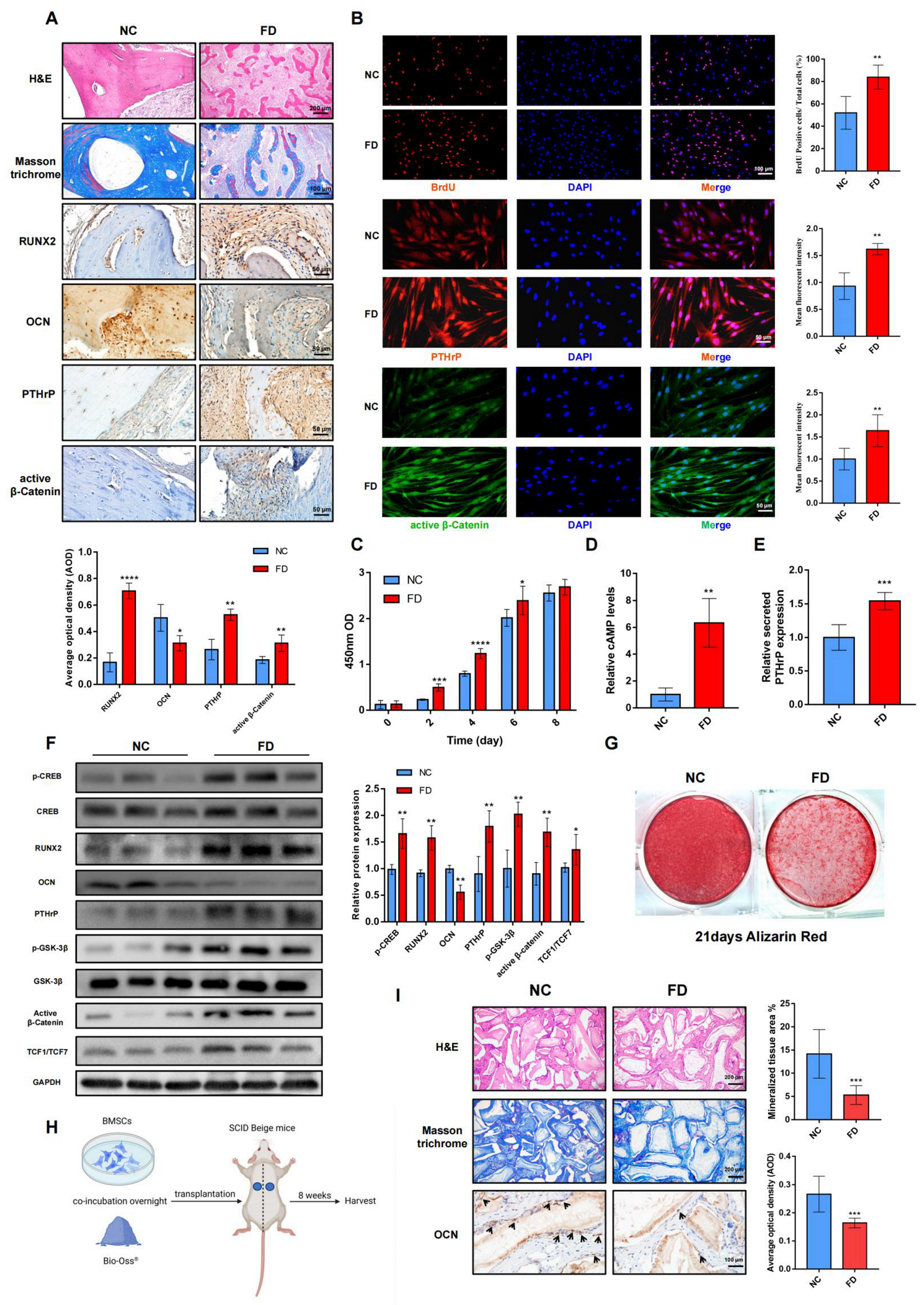 Ijms 24 07616 g001 Ijms 24 07616 g001