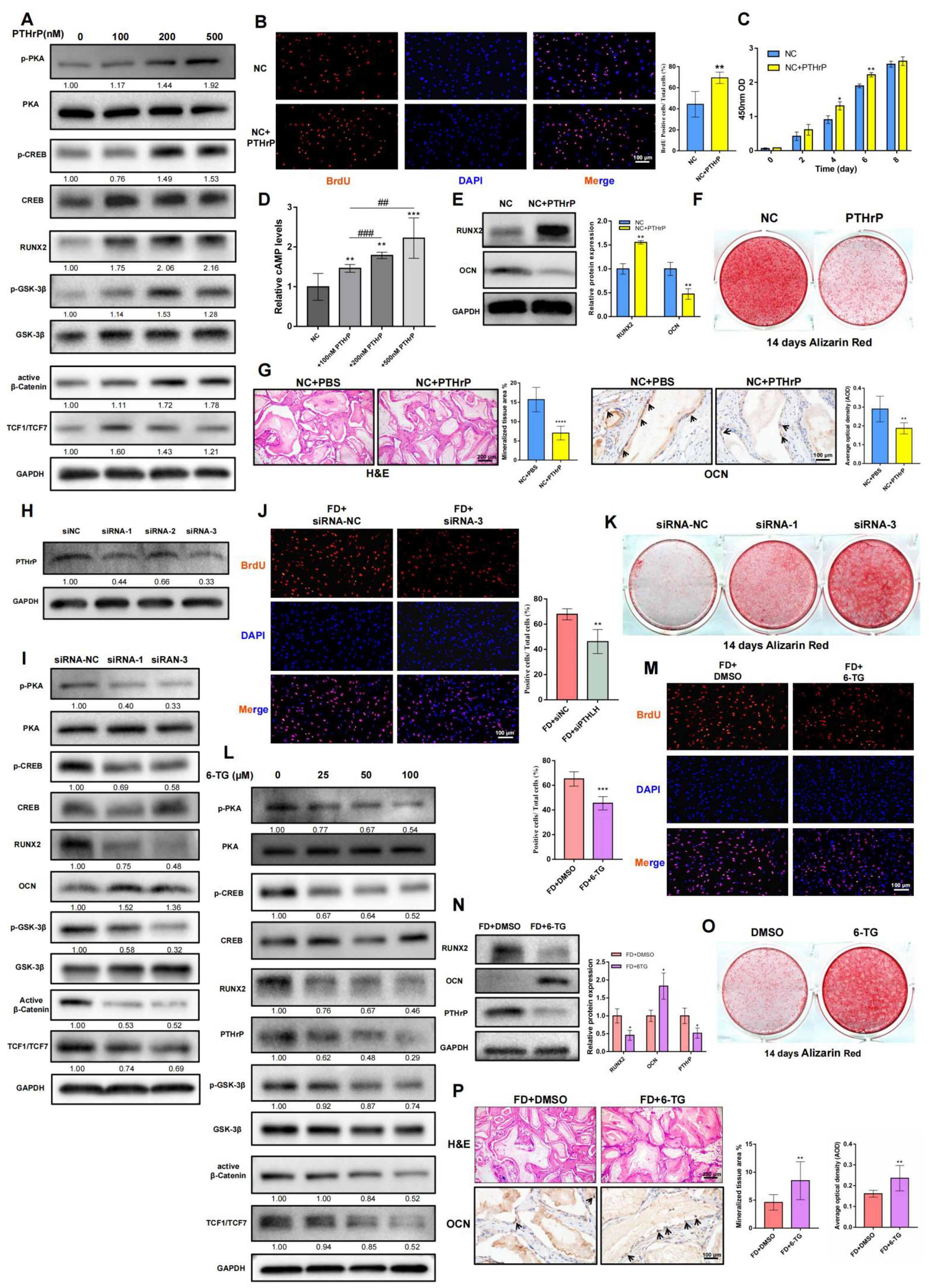 Ijms 24 07616 g002 Ijms 24 07616 g002