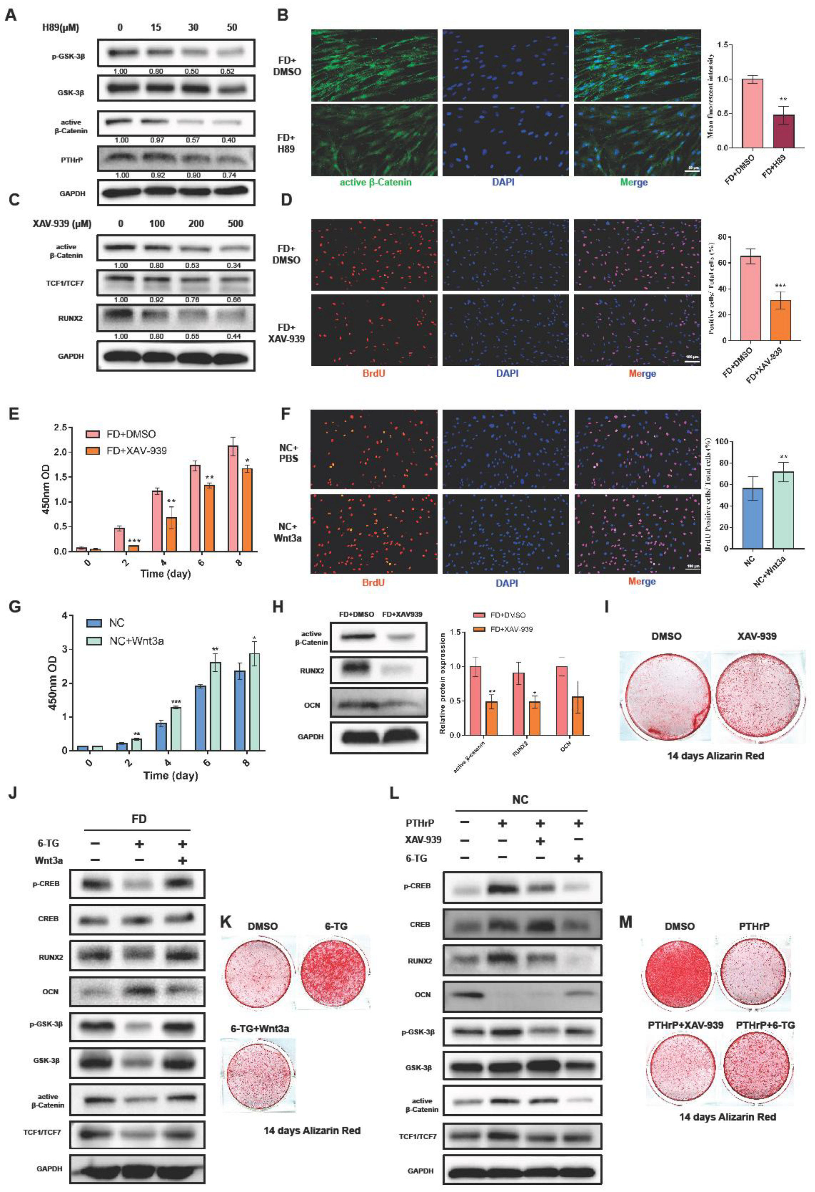Ijms 24 07616 g003 Ijms 24 07616 g003
