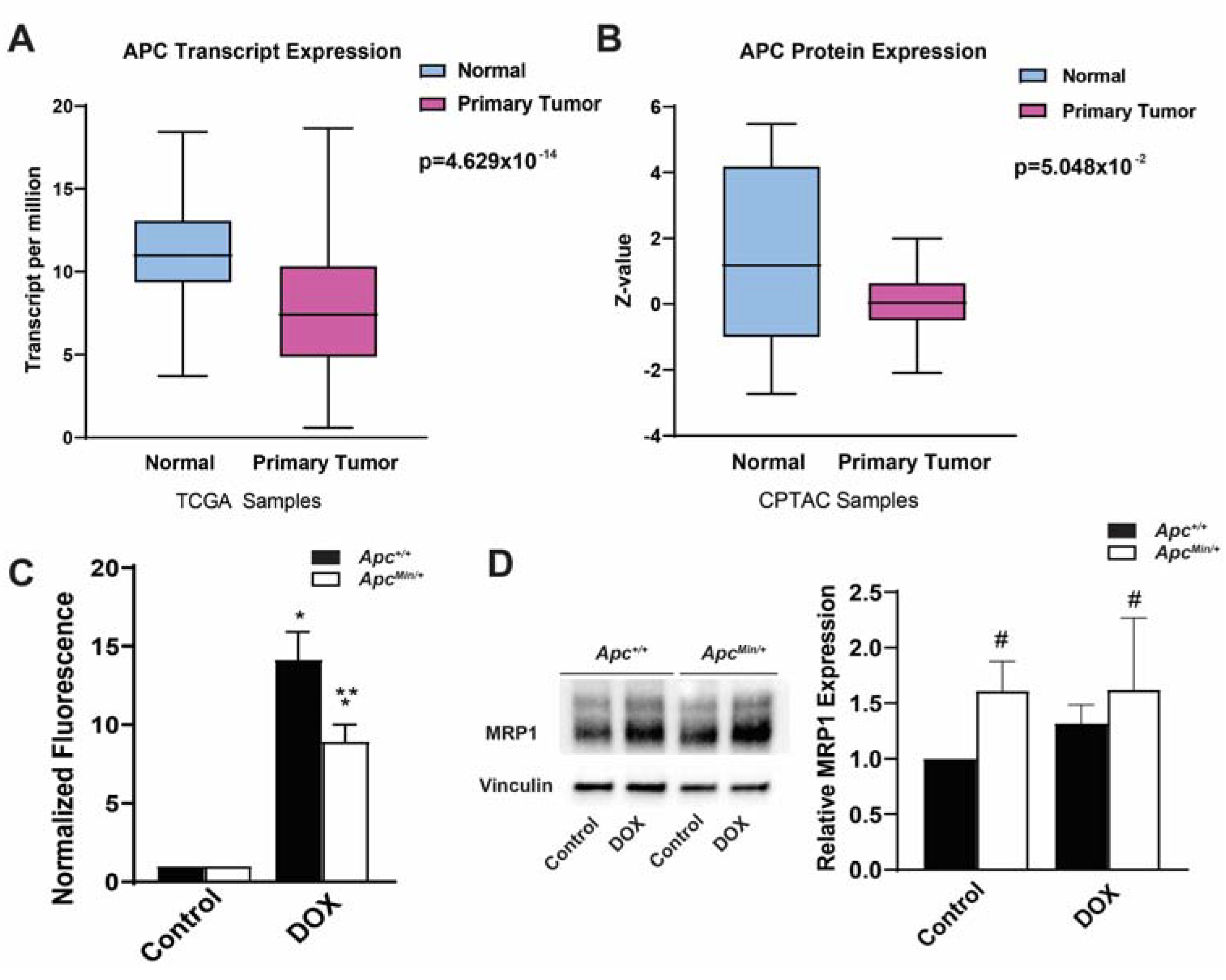Ijms 24 07621 g001 Ijms 24 07621 g001