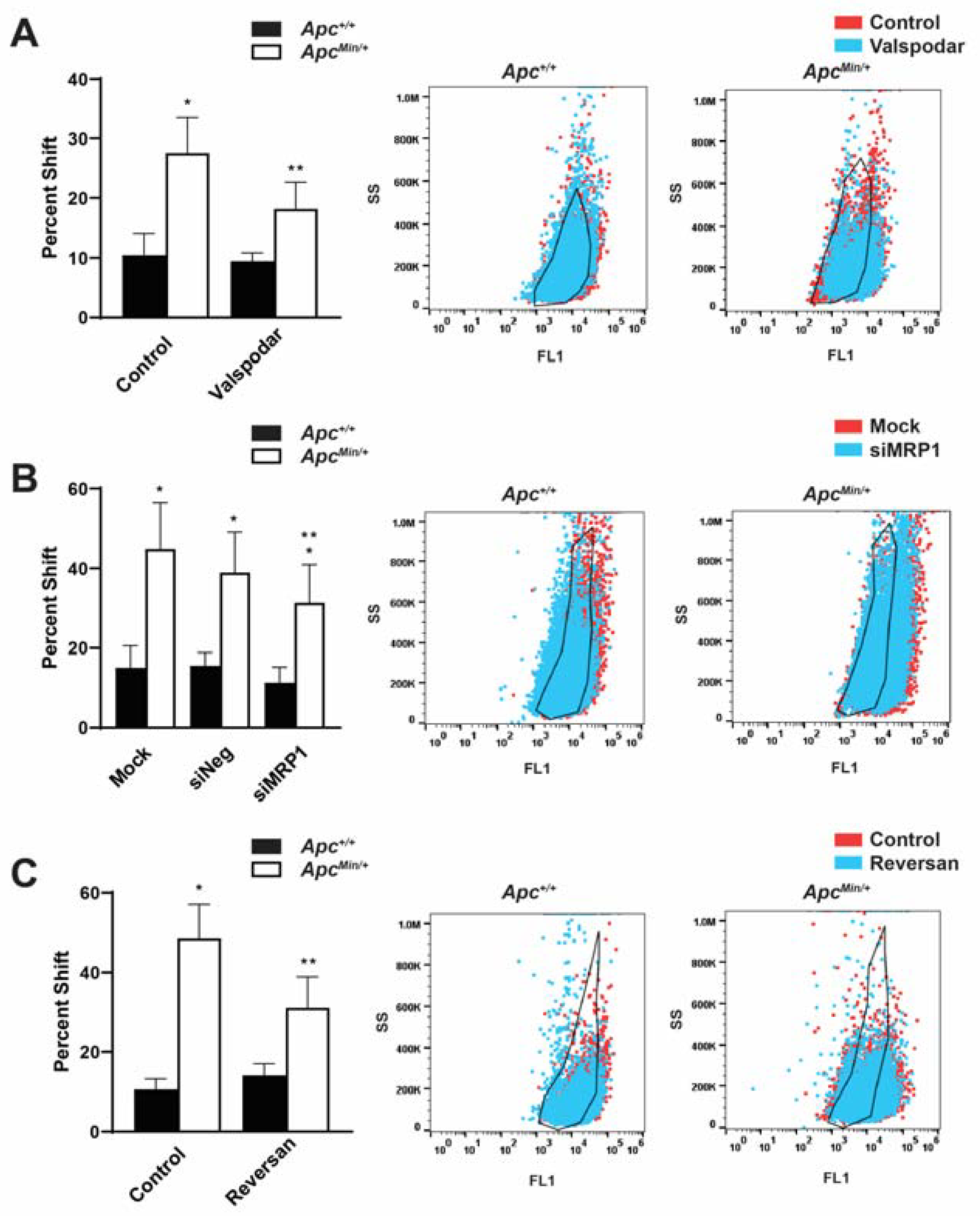 Ijms 24 07621 g004 Ijms 24 07621 g004
