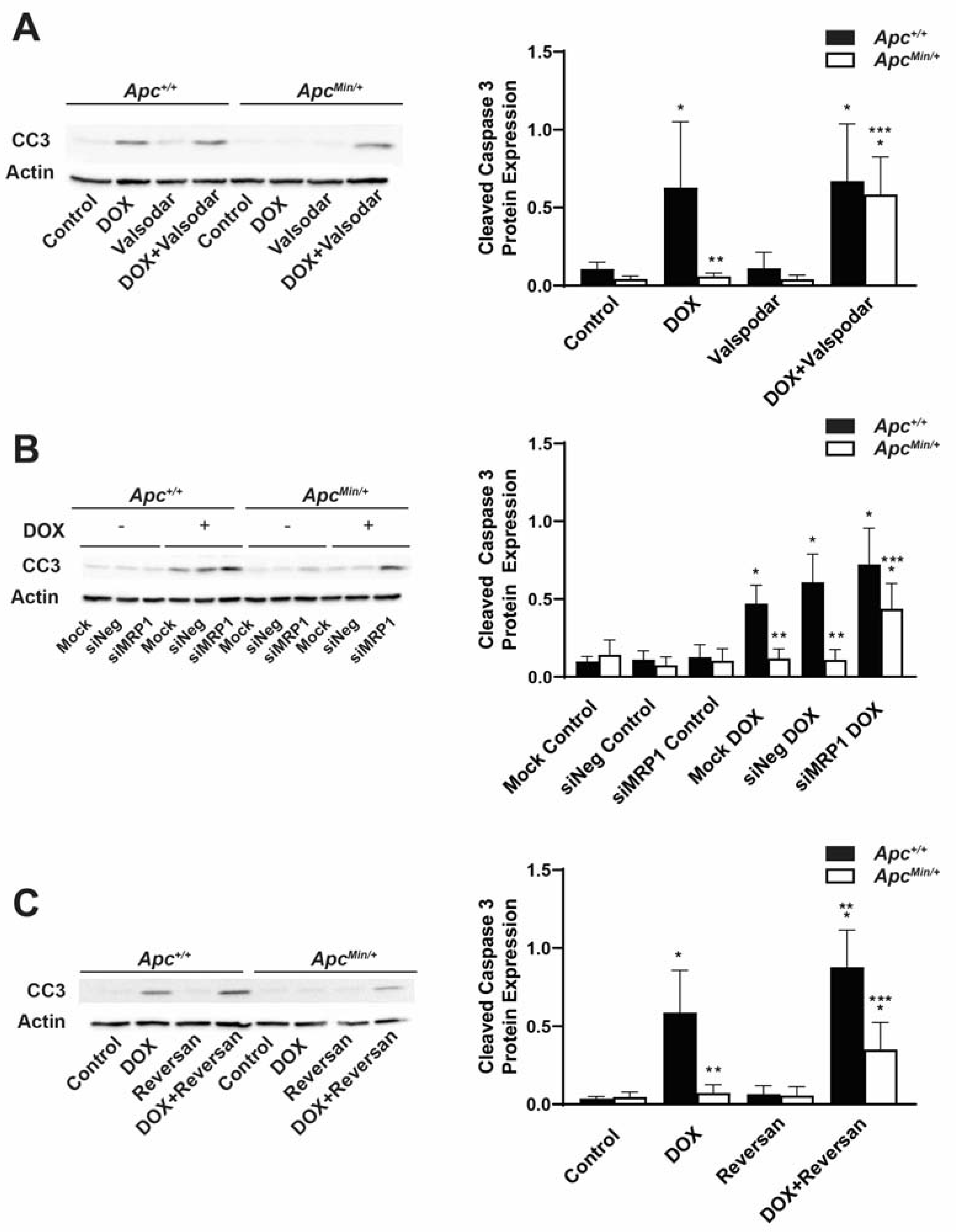 Ijms 24 07621 g005 Ijms 24 07621 g005