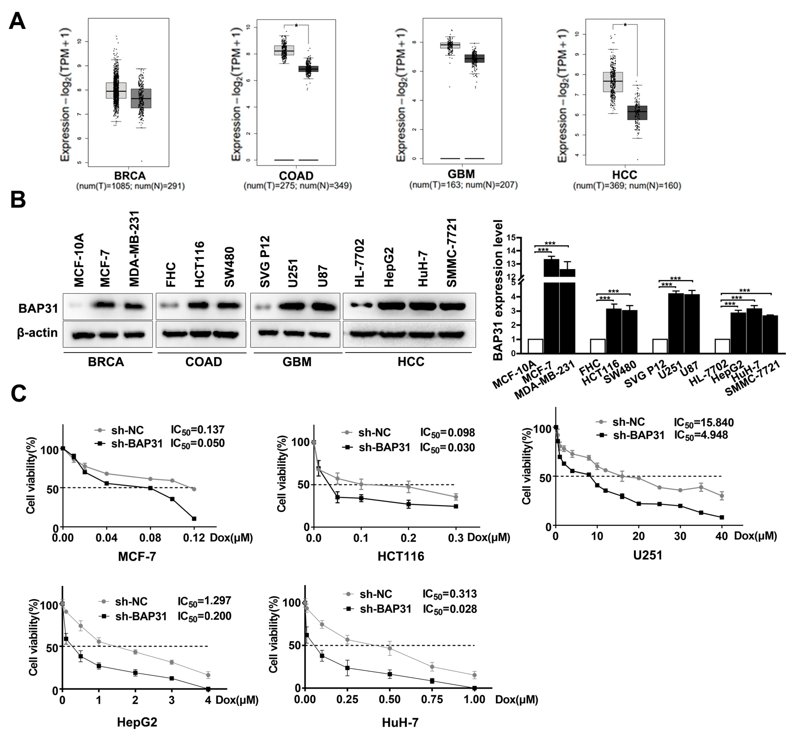 Ijms 24 07622 g001 Ijms 24 07622 g001