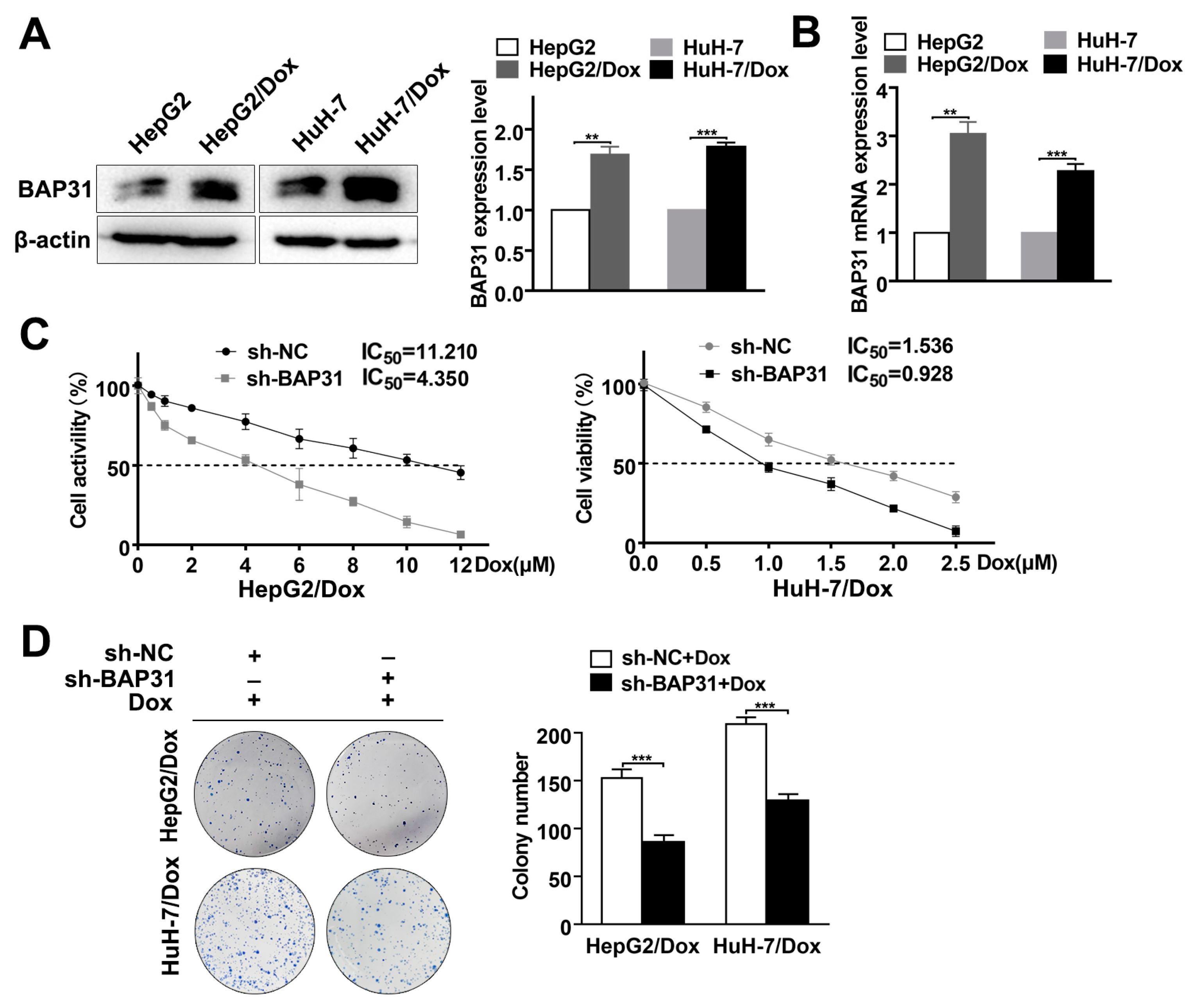 Ijms 24 07622 g002 Ijms 24 07622 g002