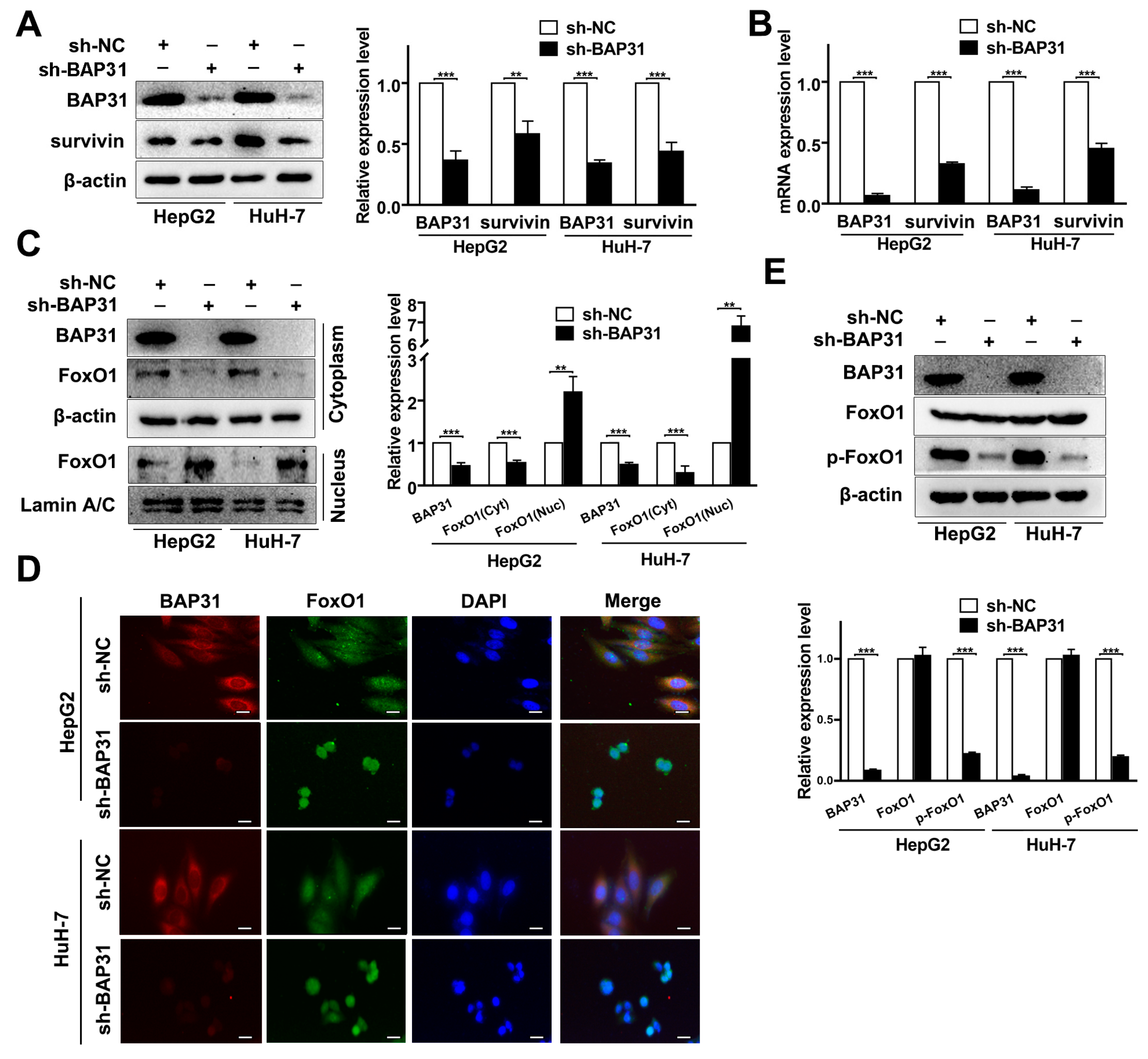 Ijms 24 07622 g004 Ijms 24 07622 g004