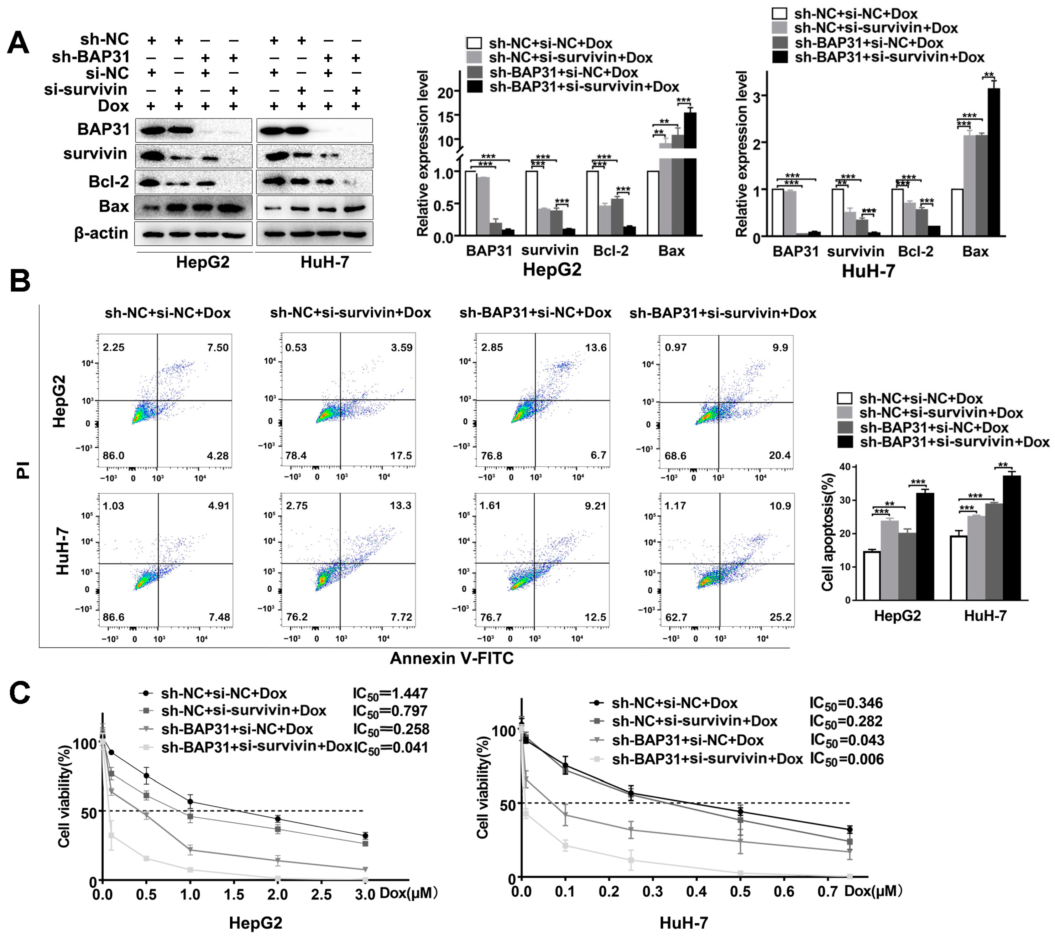 Ijms 24 07622 g005 Ijms 24 07622 g005