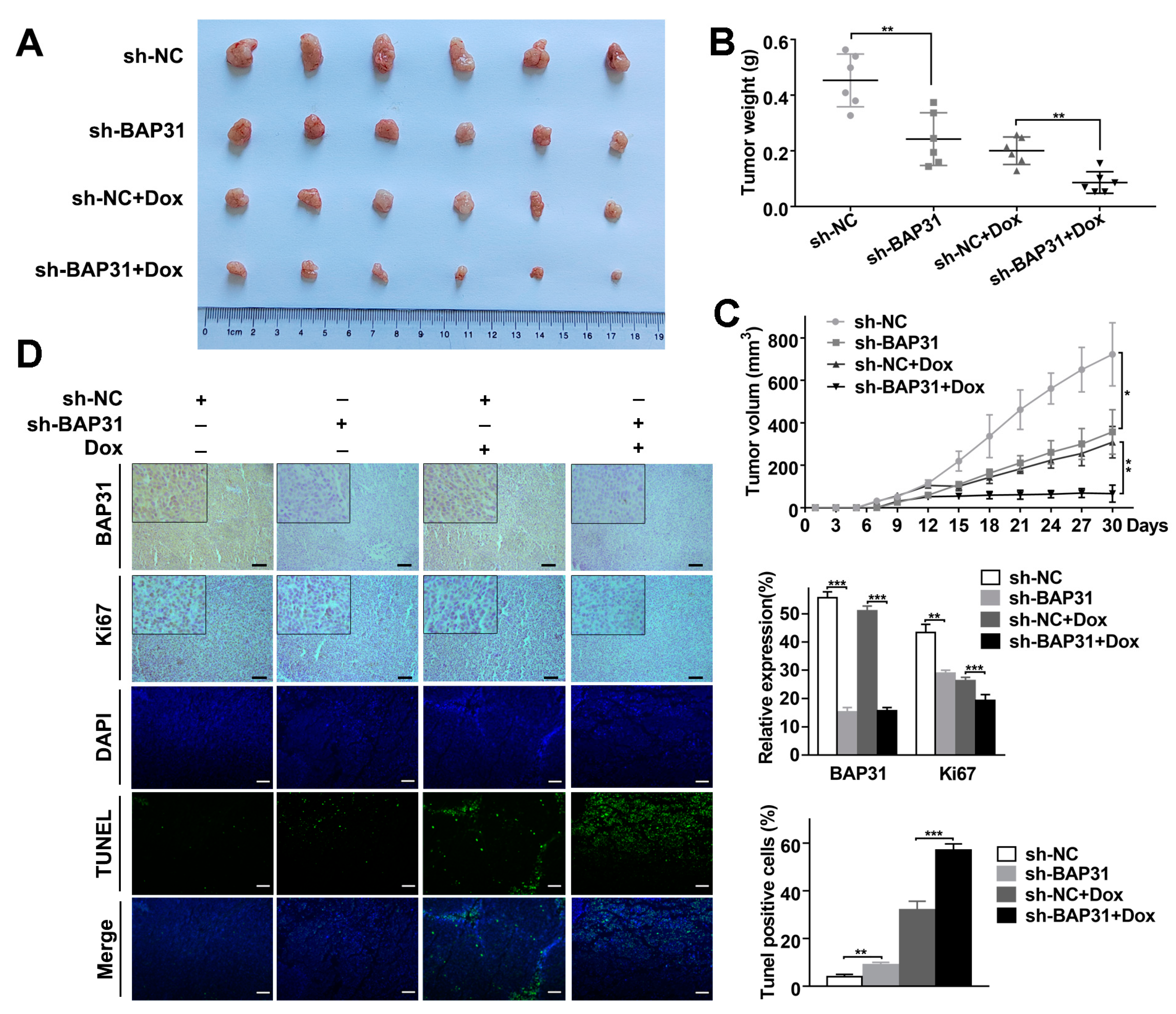 Ijms 24 07622 g006 Ijms 24 07622 g006
