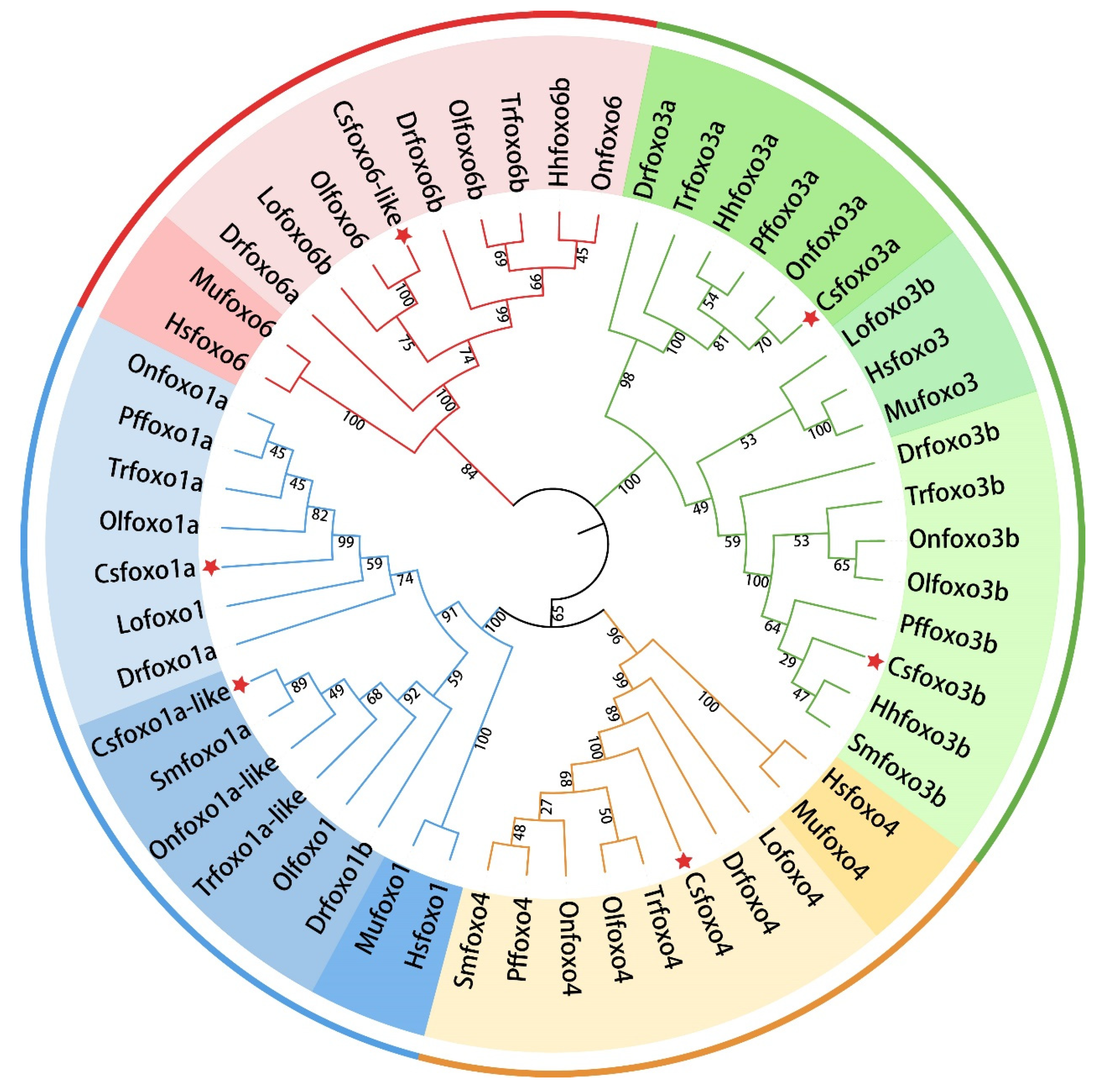 Ijms 24 07625 g002 Ijms 24 07625 g002