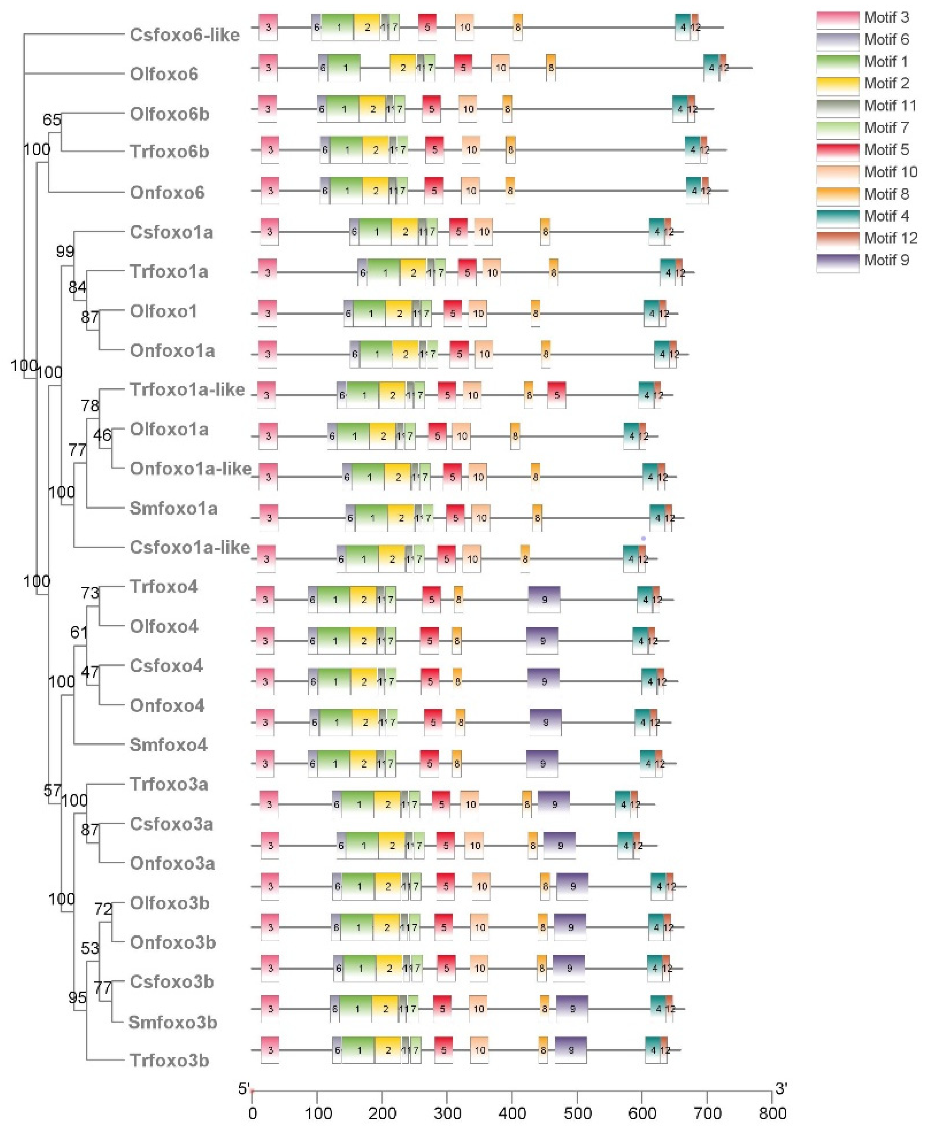 Ijms 24 07625 g003 Ijms 24 07625 g003