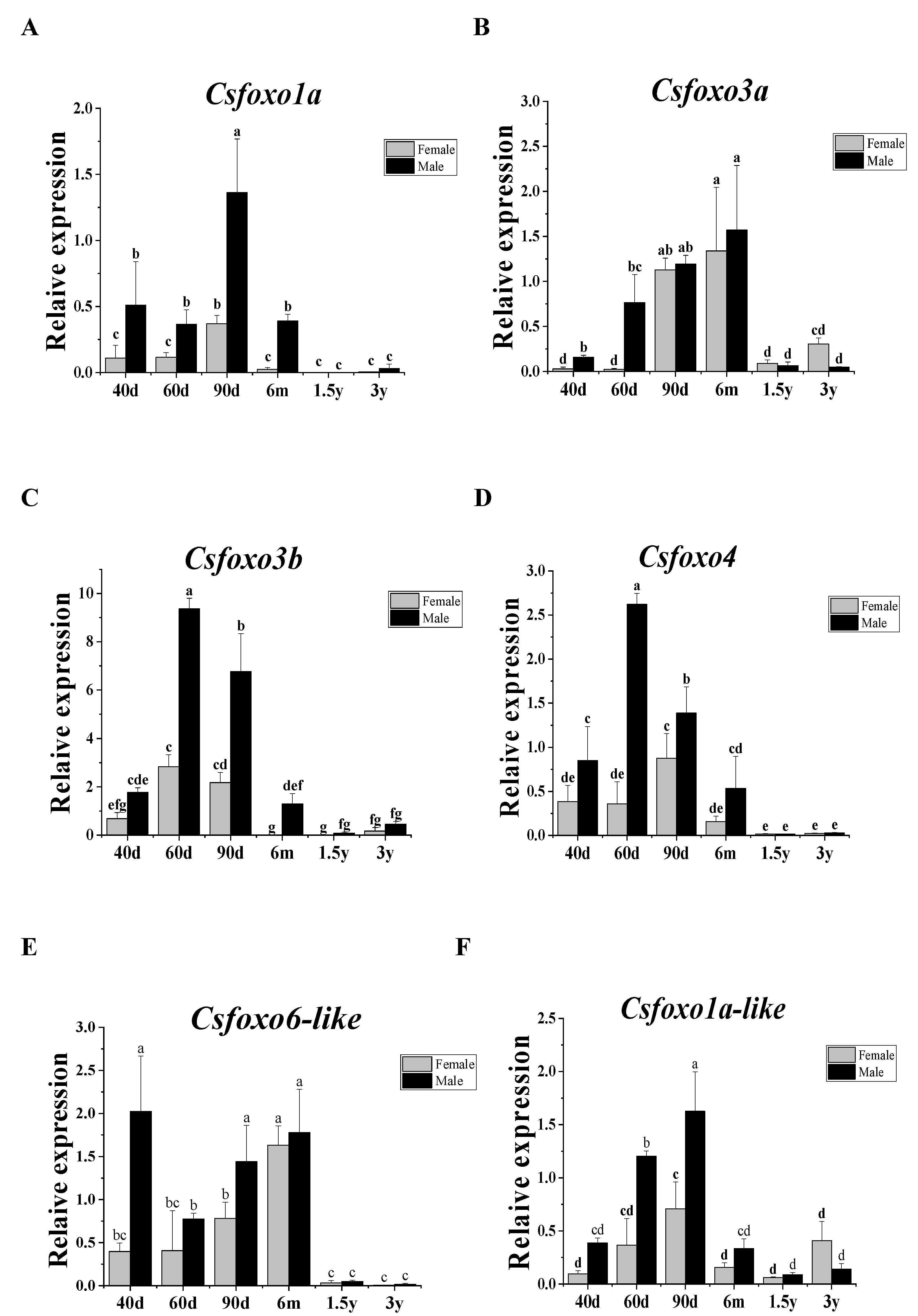 Ijms 24 07625 g004 Ijms 24 07625 g004